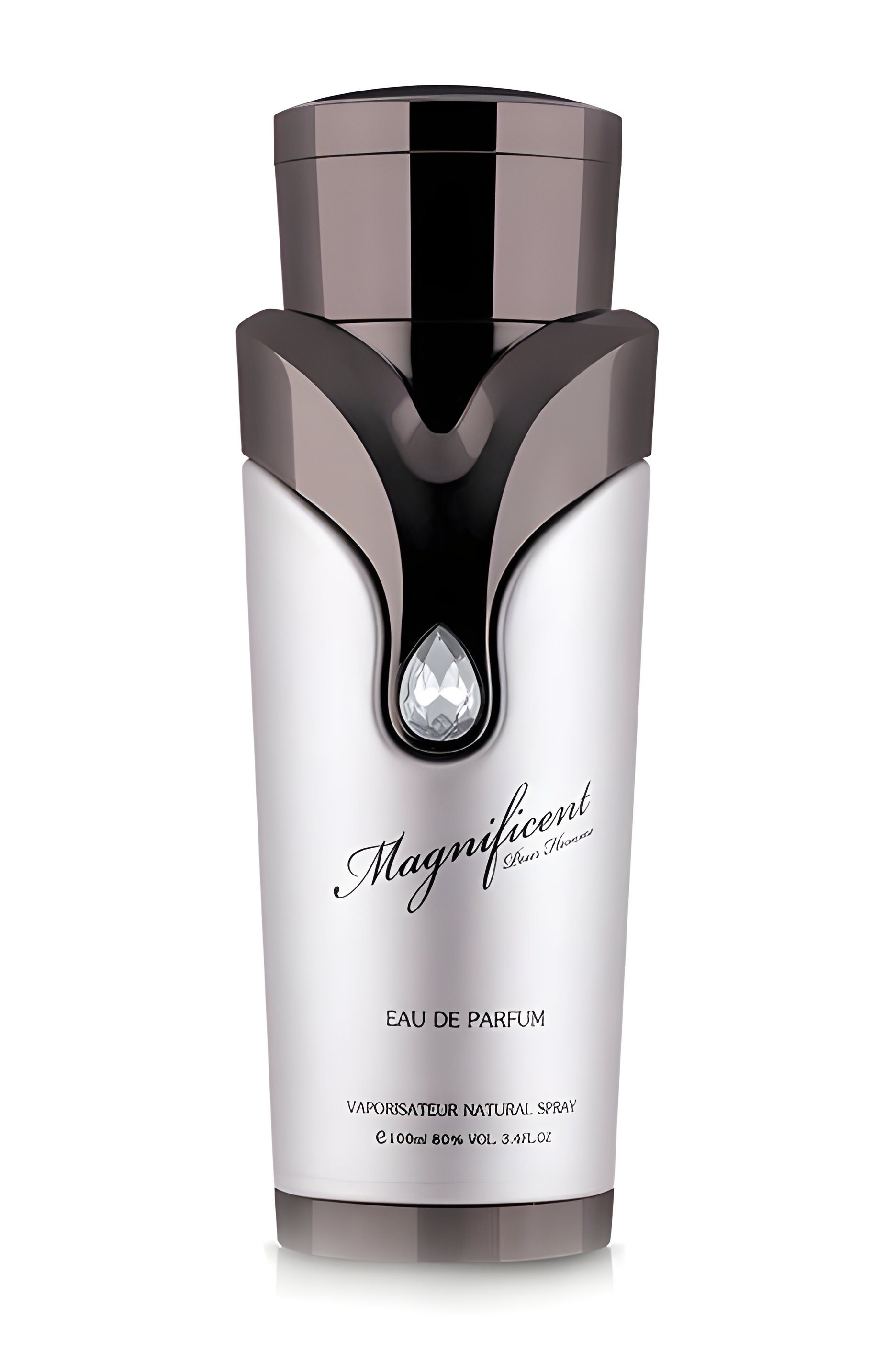 Magnificent Pour Homme by Armaf perfume bottle