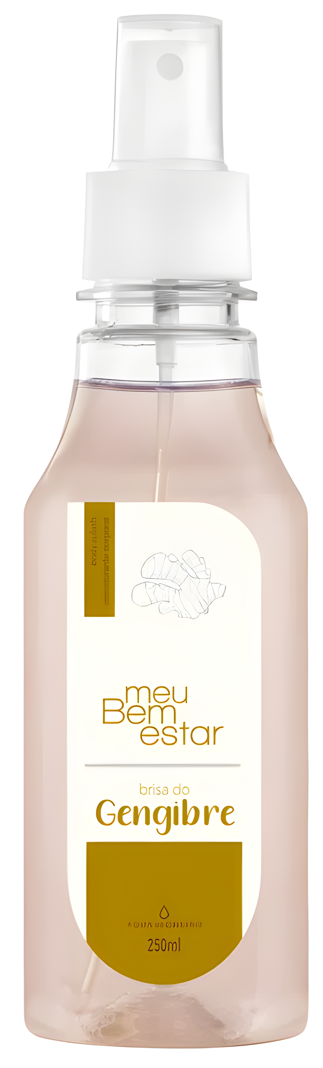 Meu Bem Estar Brisa de Gengibre by Água de Cheiro perfume bottle