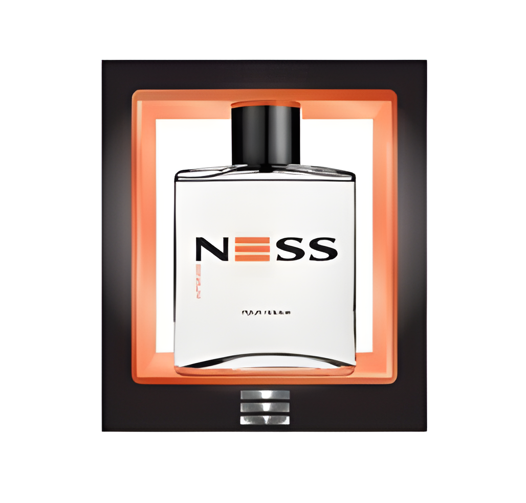 Ness INTENSE by Evaflor perfume bottle