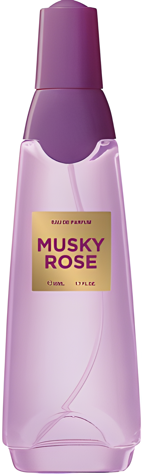 Musky Rose by Ascania perfume bottle