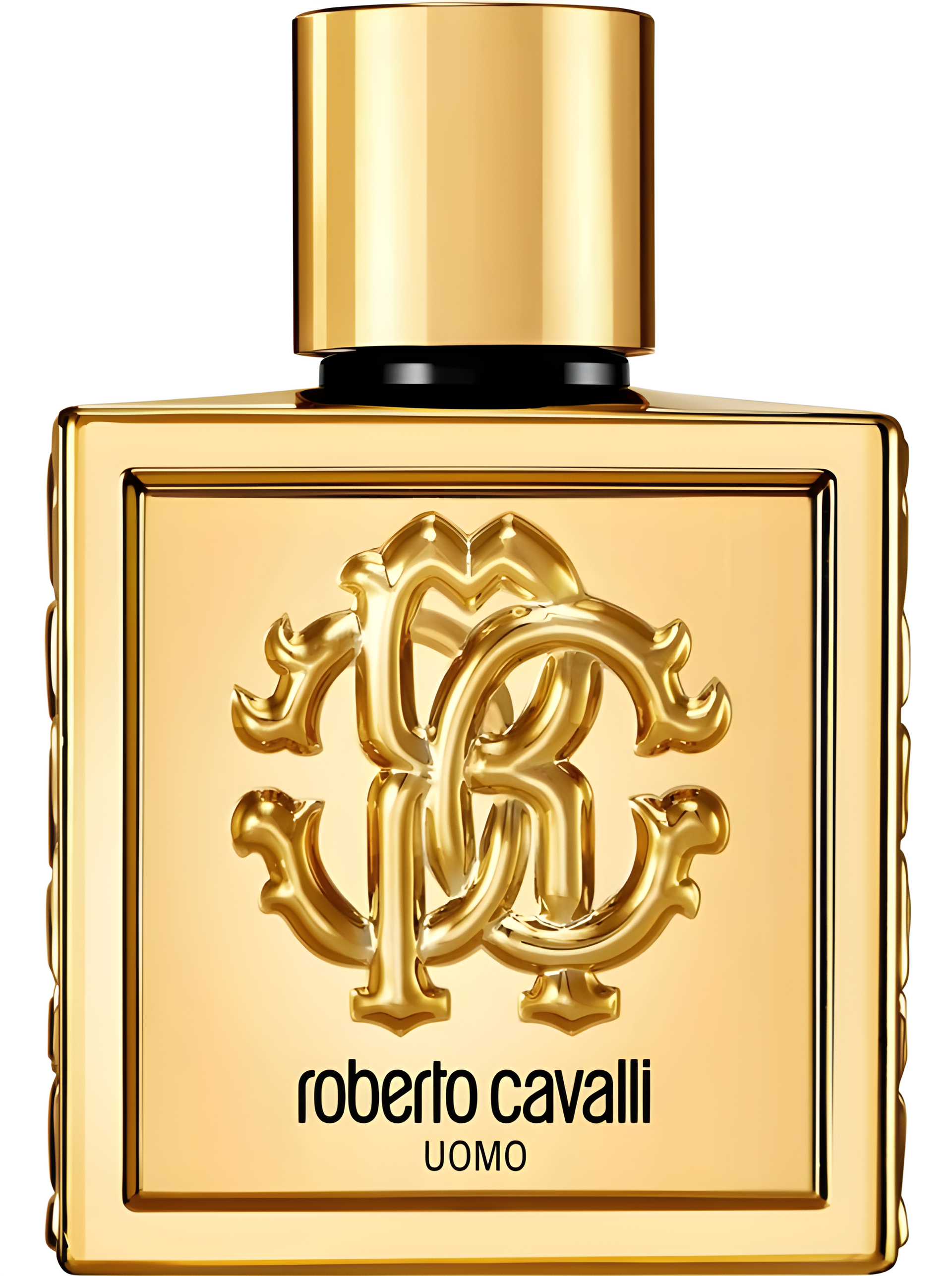 Roberto Cavalli Roberto Cavalli Uomo Golden Anniversary