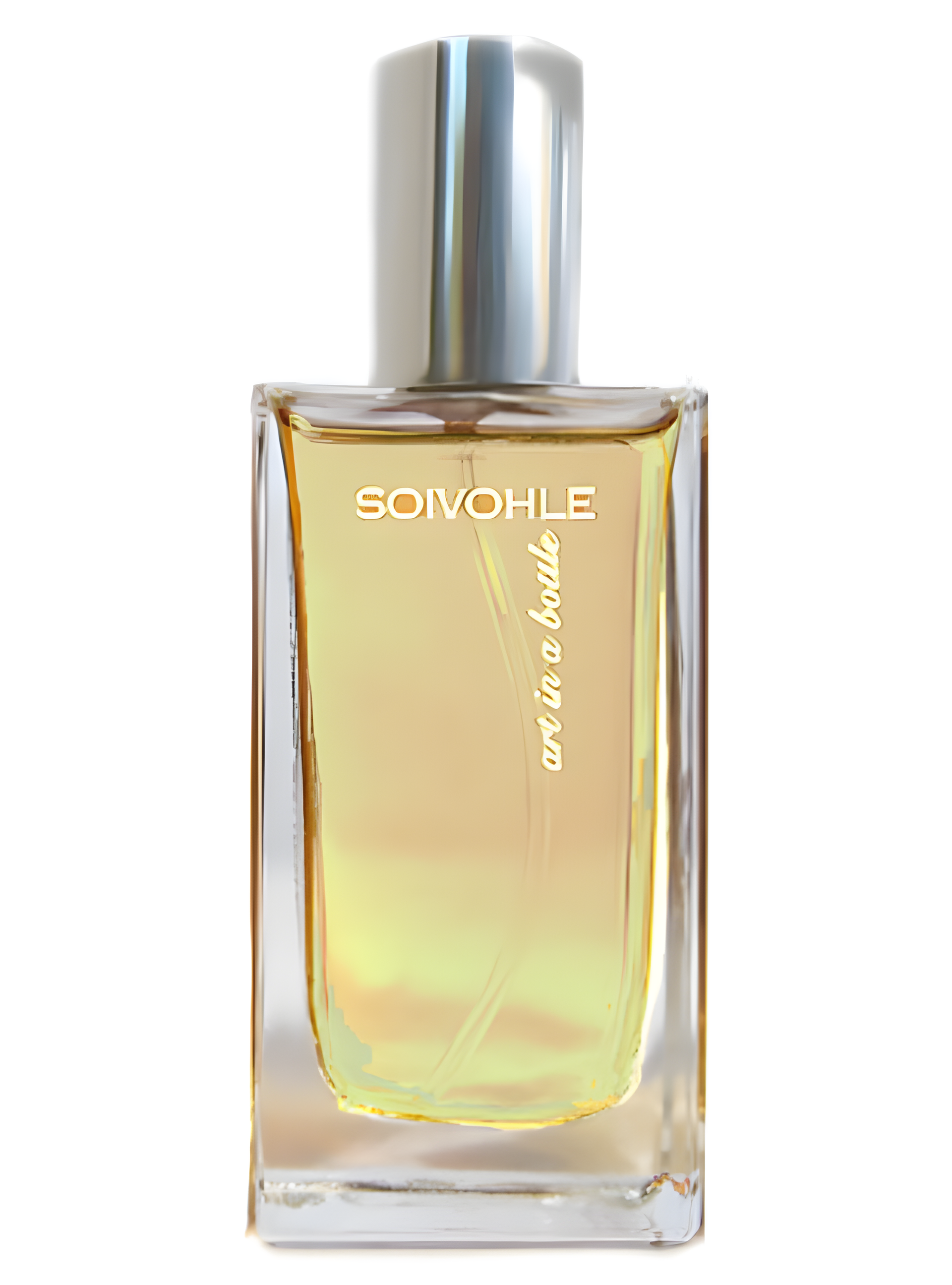 Violets & Rainwater by Soivohle perfume bottle