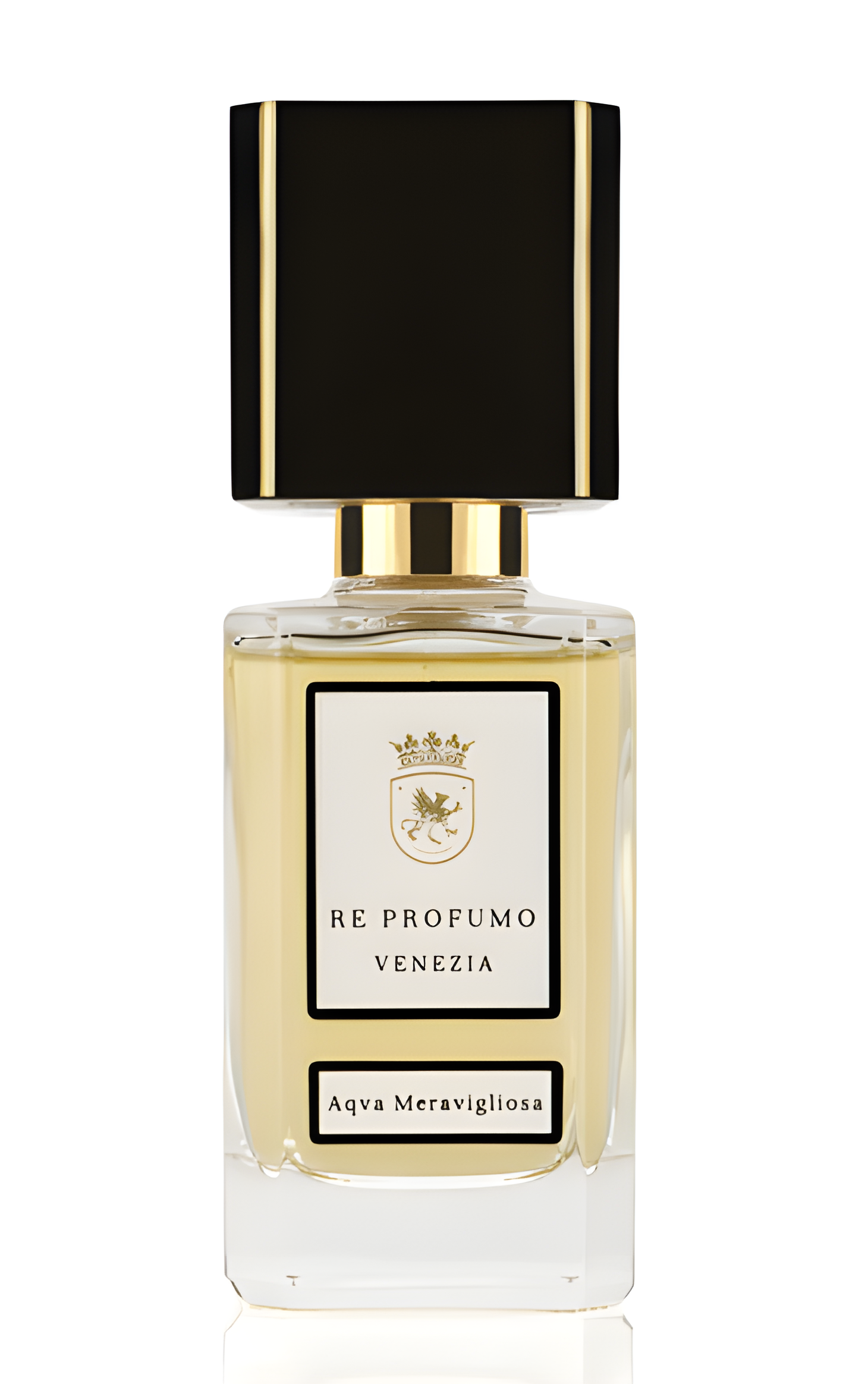 Aqva Meravigliosa by Re Profumo perfume bottle