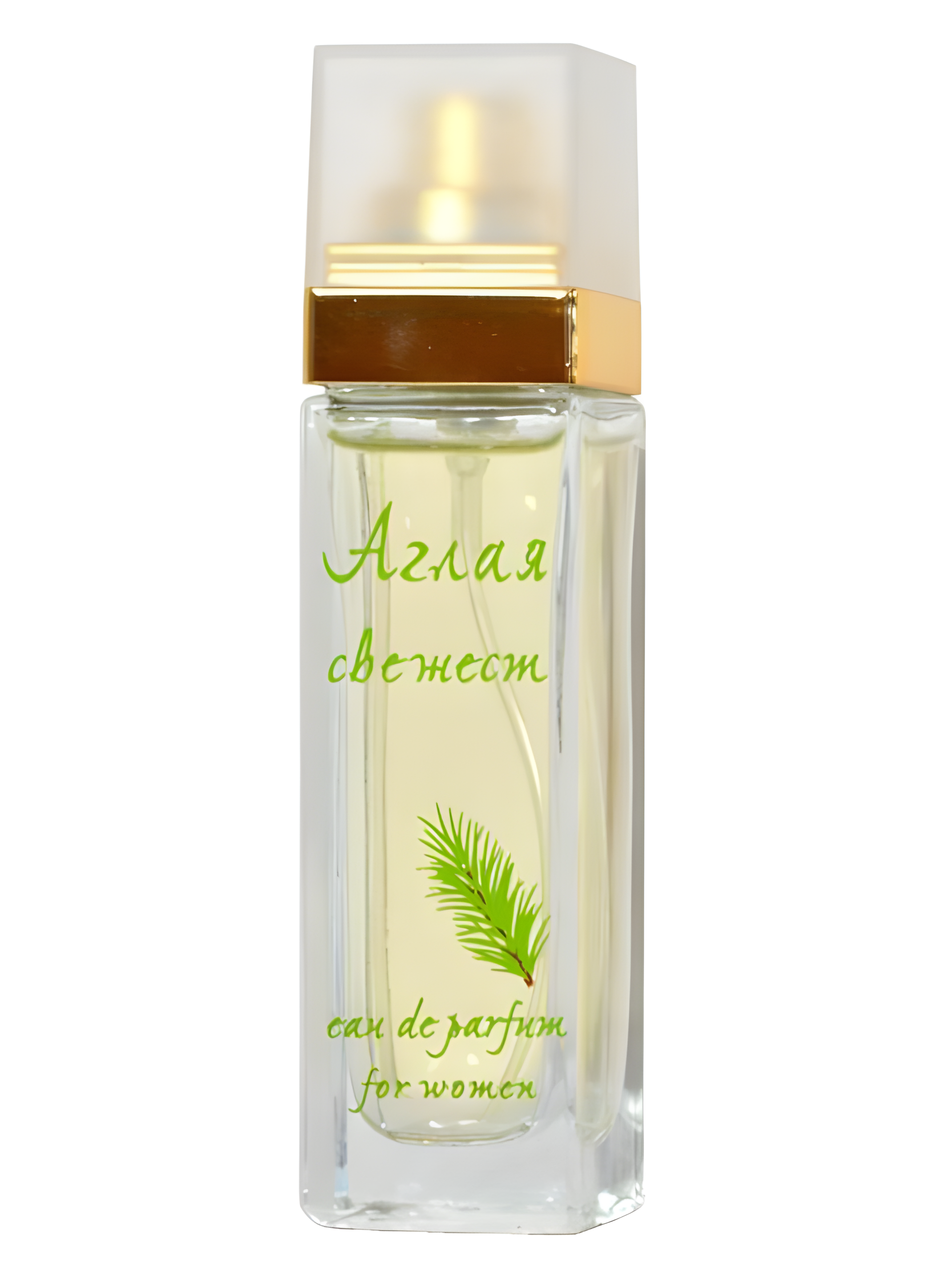 Aglaya Svejest by Evterpa perfume bottle