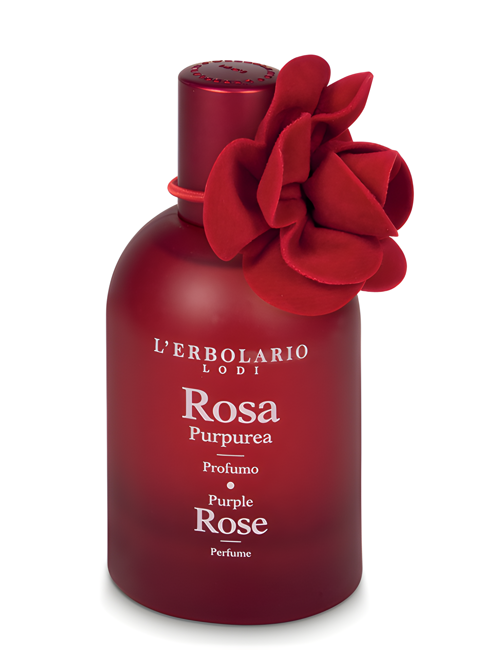 Purple Rose - Rosa Purpurea by L'Erbolario