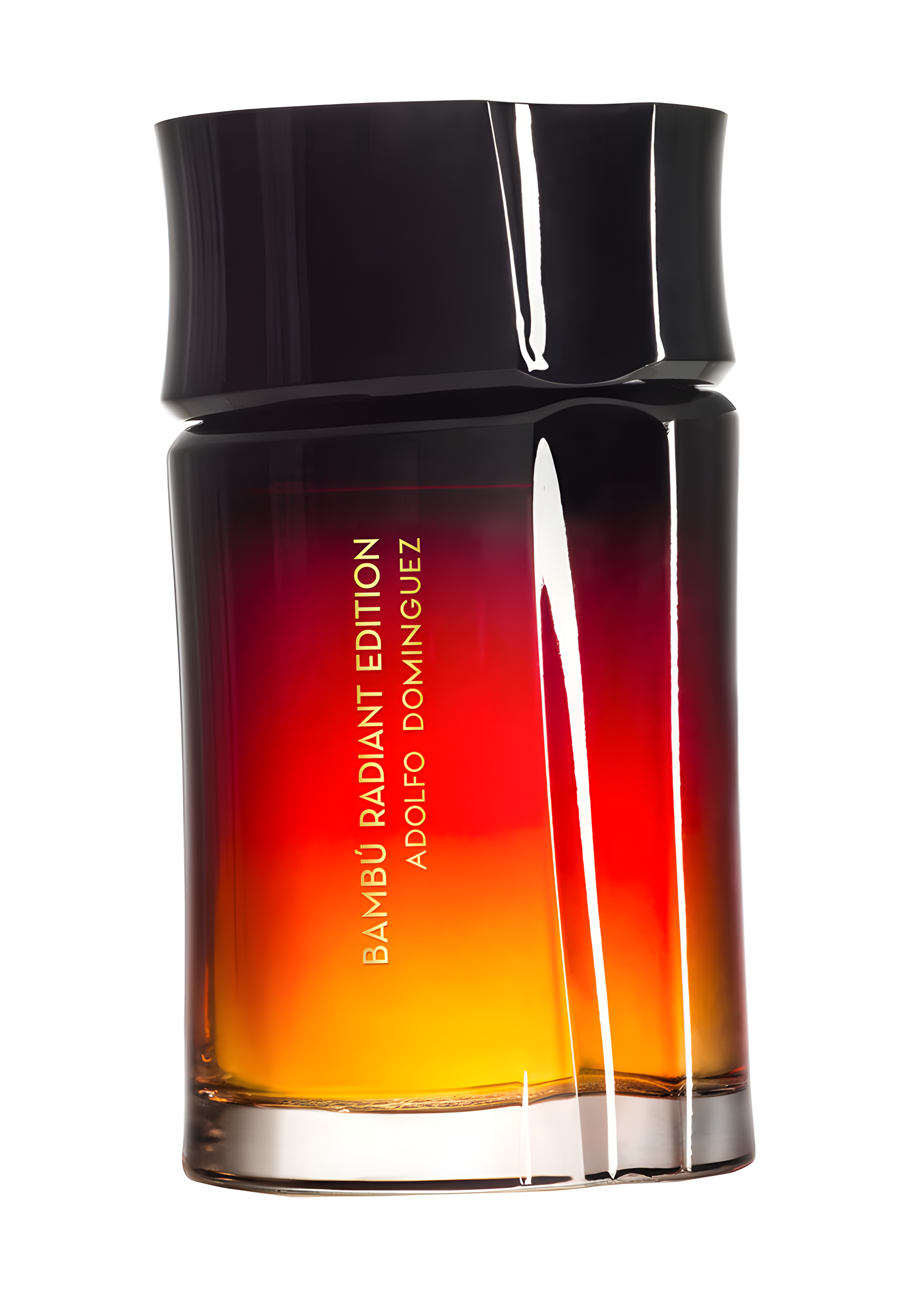 Adolfo Dominguez Bambú Radiant Edition Hombre