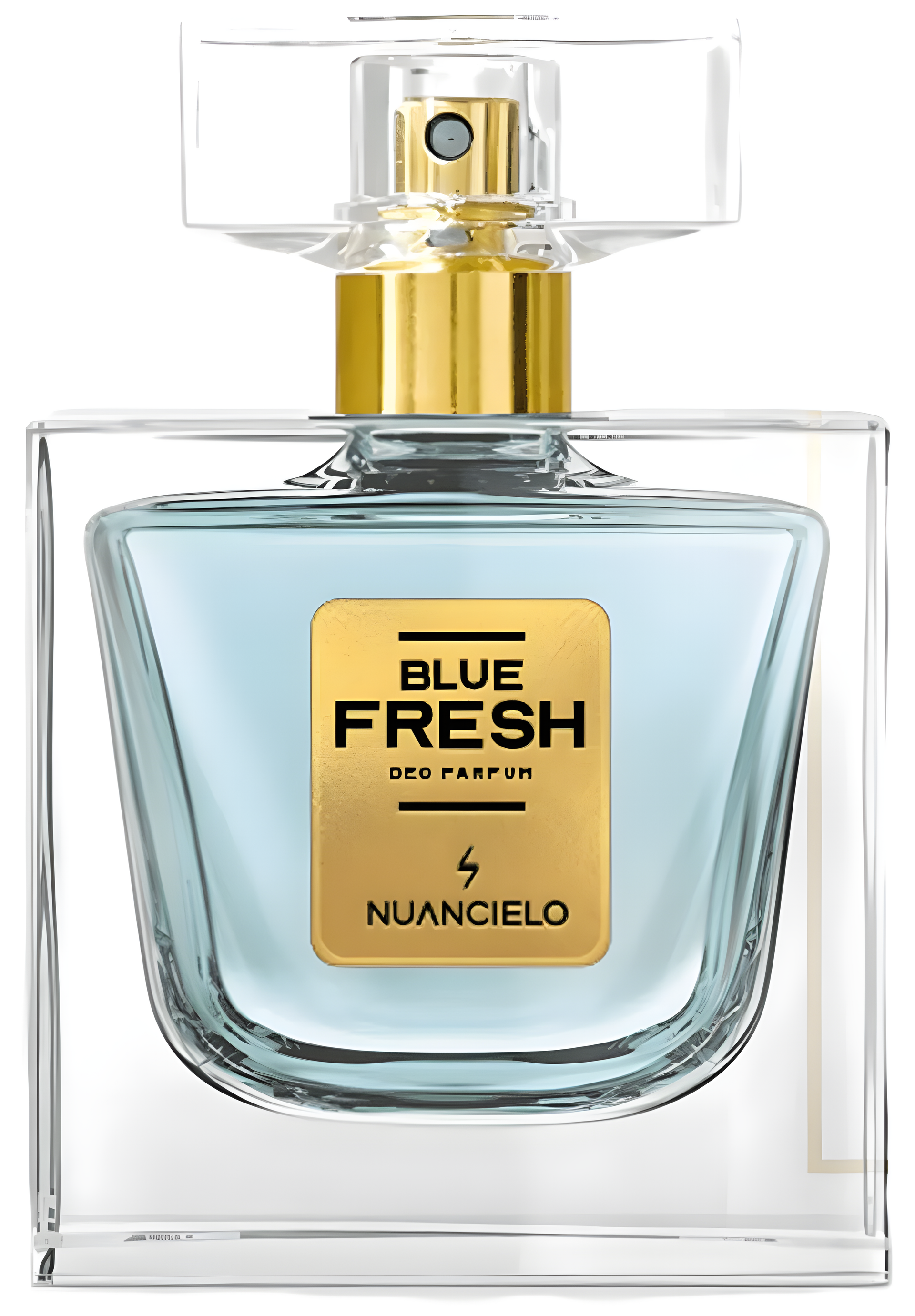 Blue Fresh by Nuancielo perfume bottle