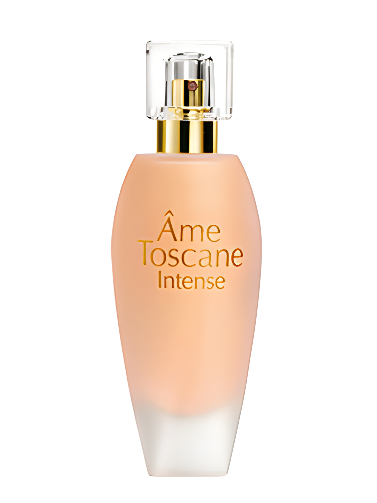 Ame Toscane Intense by ID Parfums perfume bottle