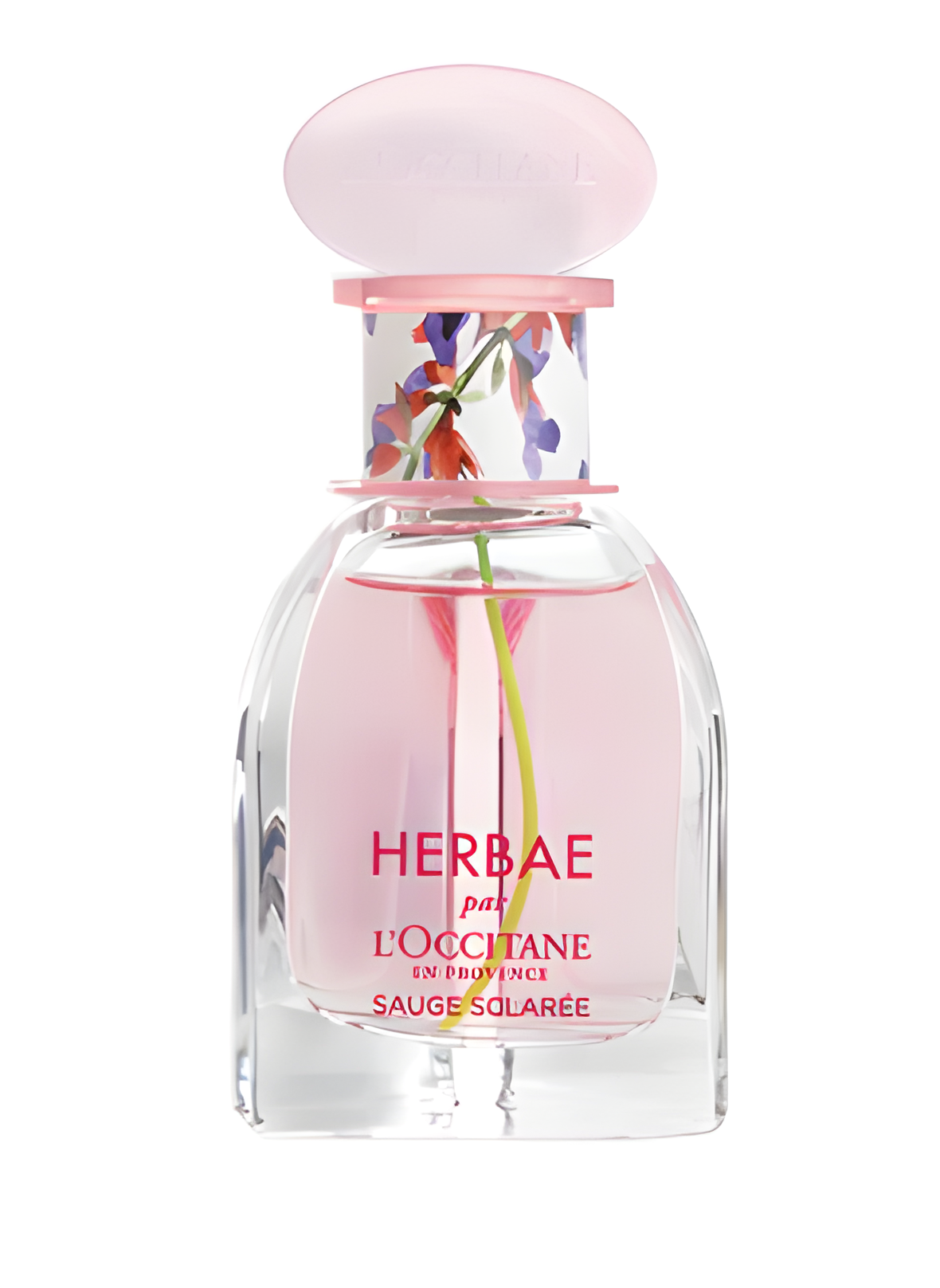 Herbae Clary Sage by L'Occitane en Provence