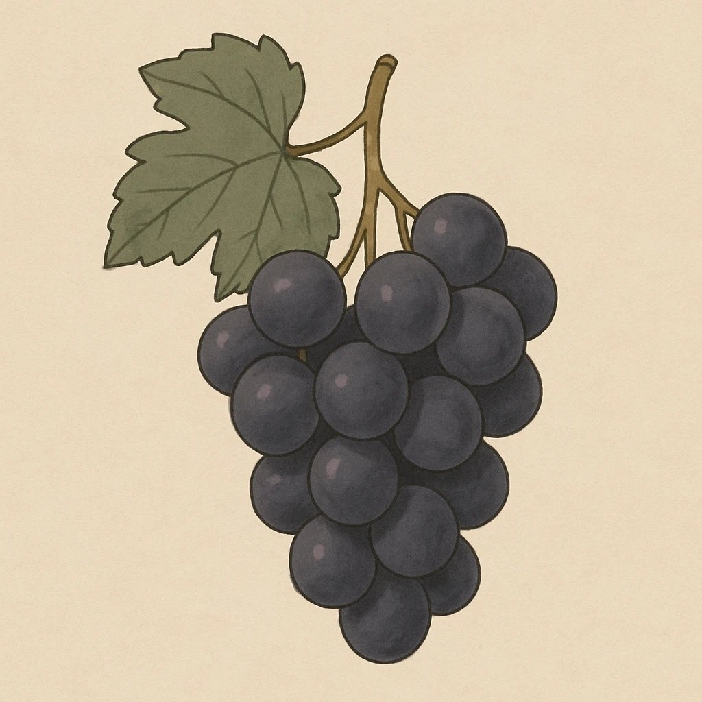 Picture of Isabella Grape note