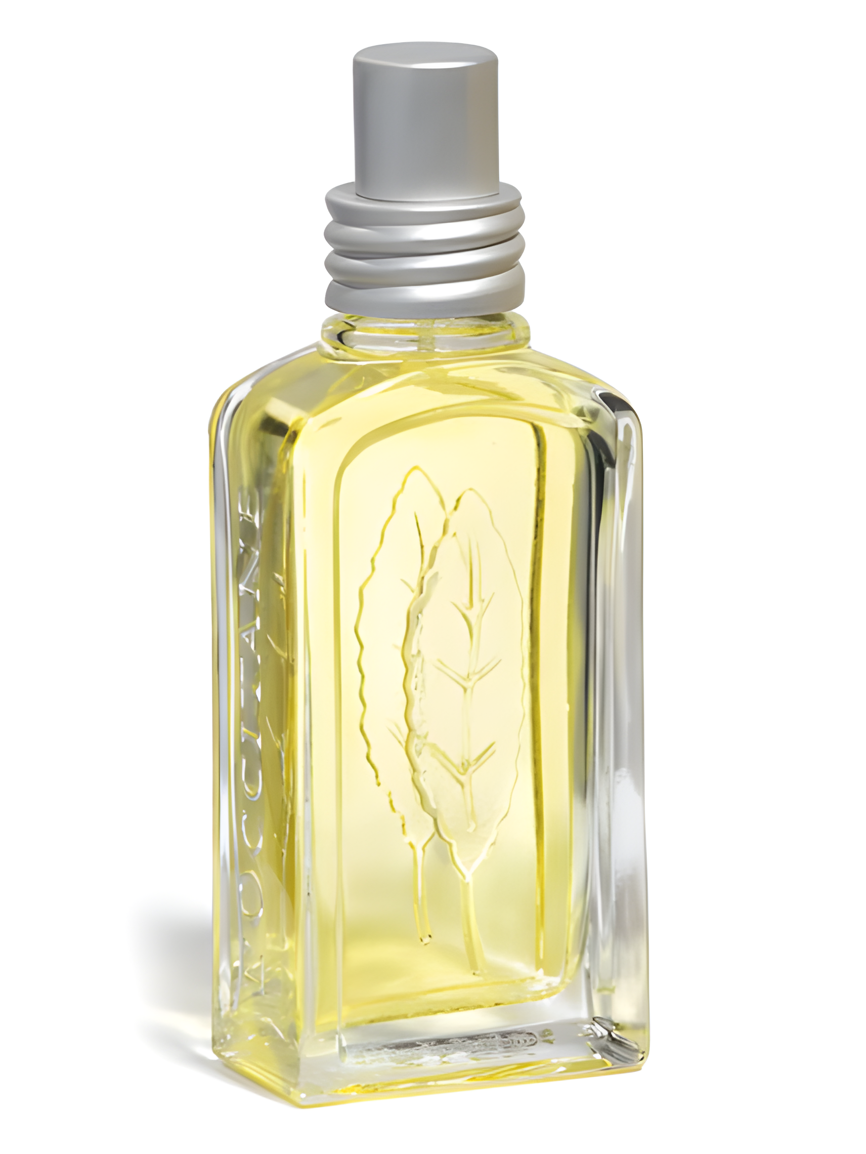 Verveine Agrumes 2008 by L'Occitane en Provence perfume bottle