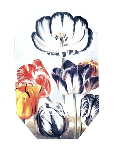 Print Collection Stella 02 (2011) by Stella McCartney perfume bottle