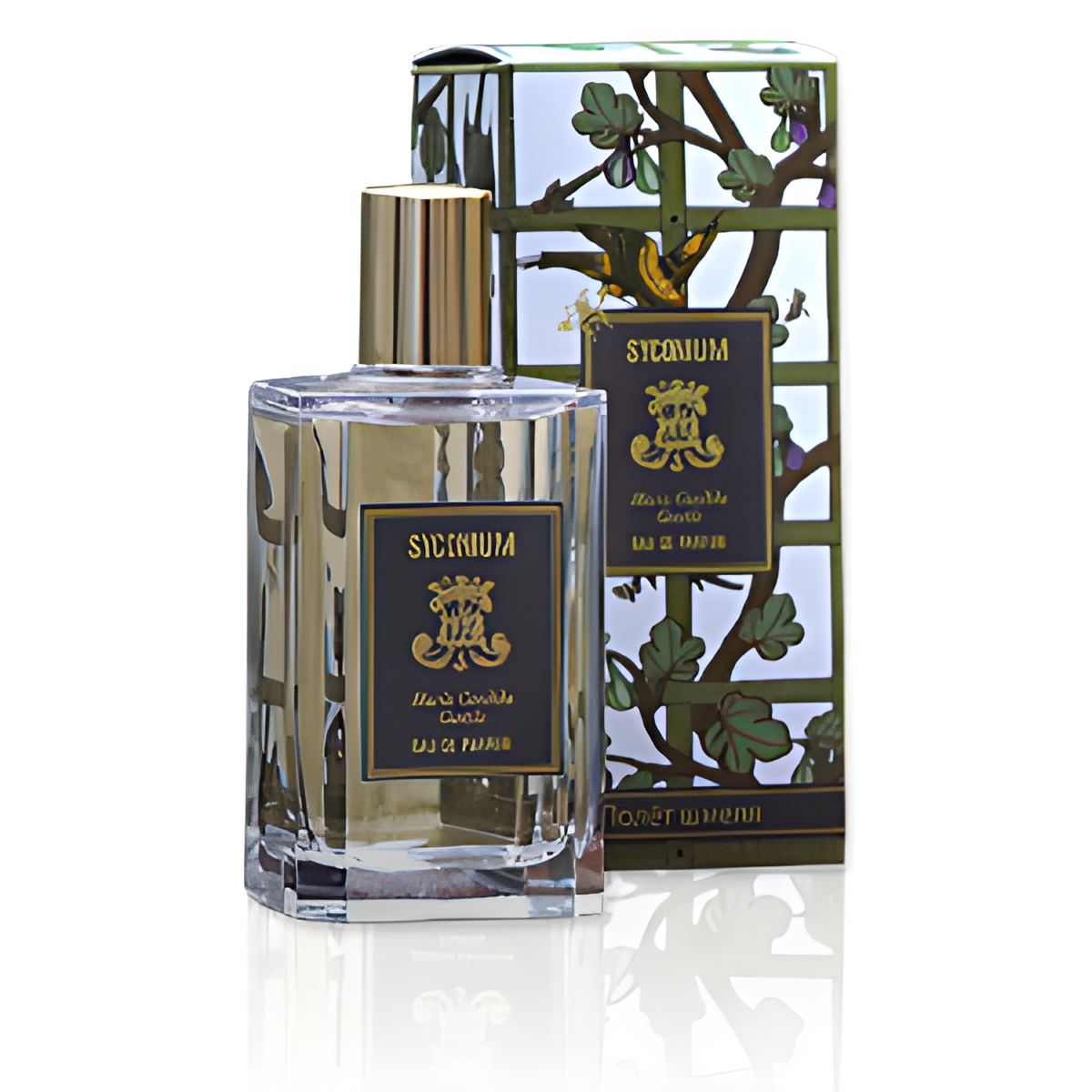 Syconium by Maria Candida Gentile perfume bottle