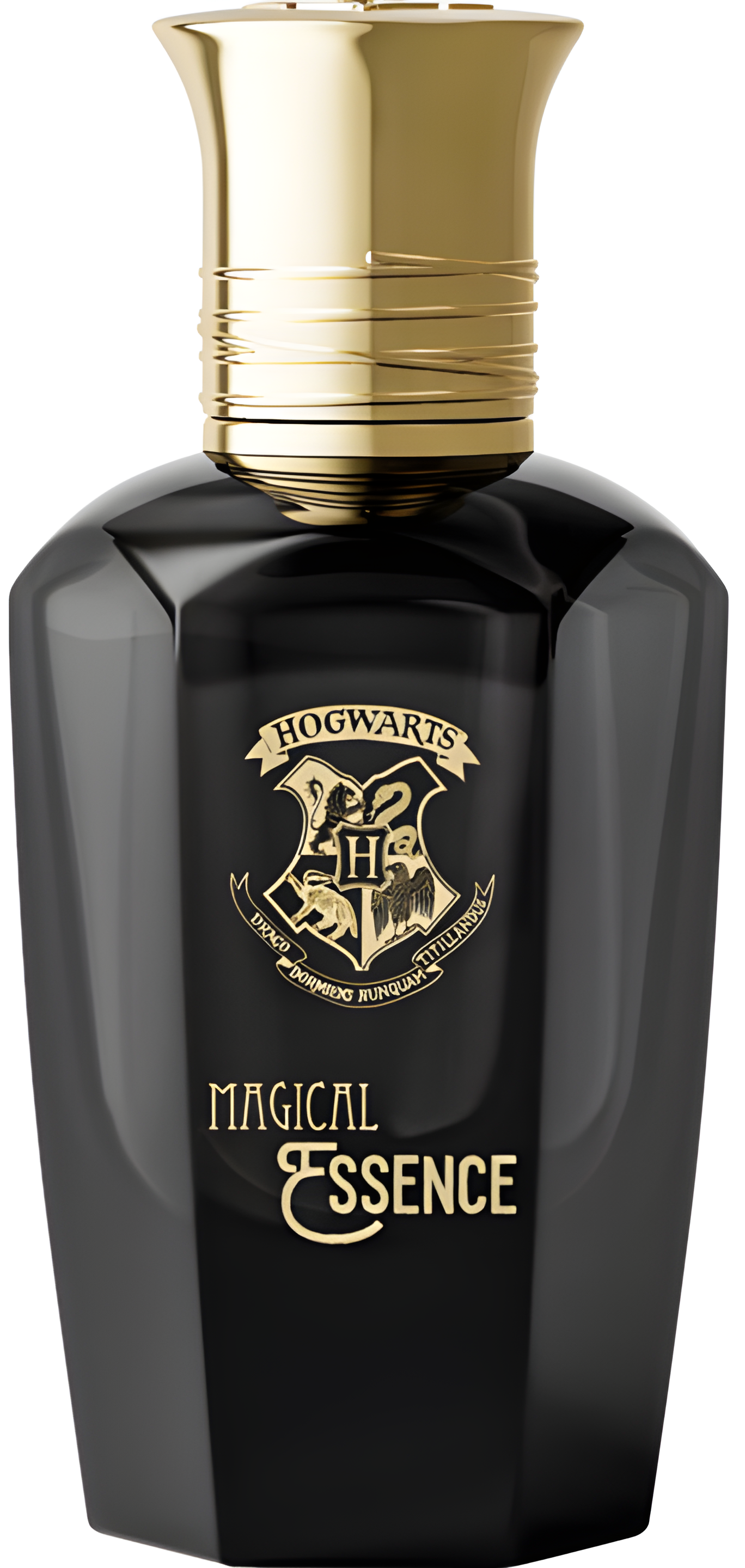 Ambition by Harry Potter perfume bottle