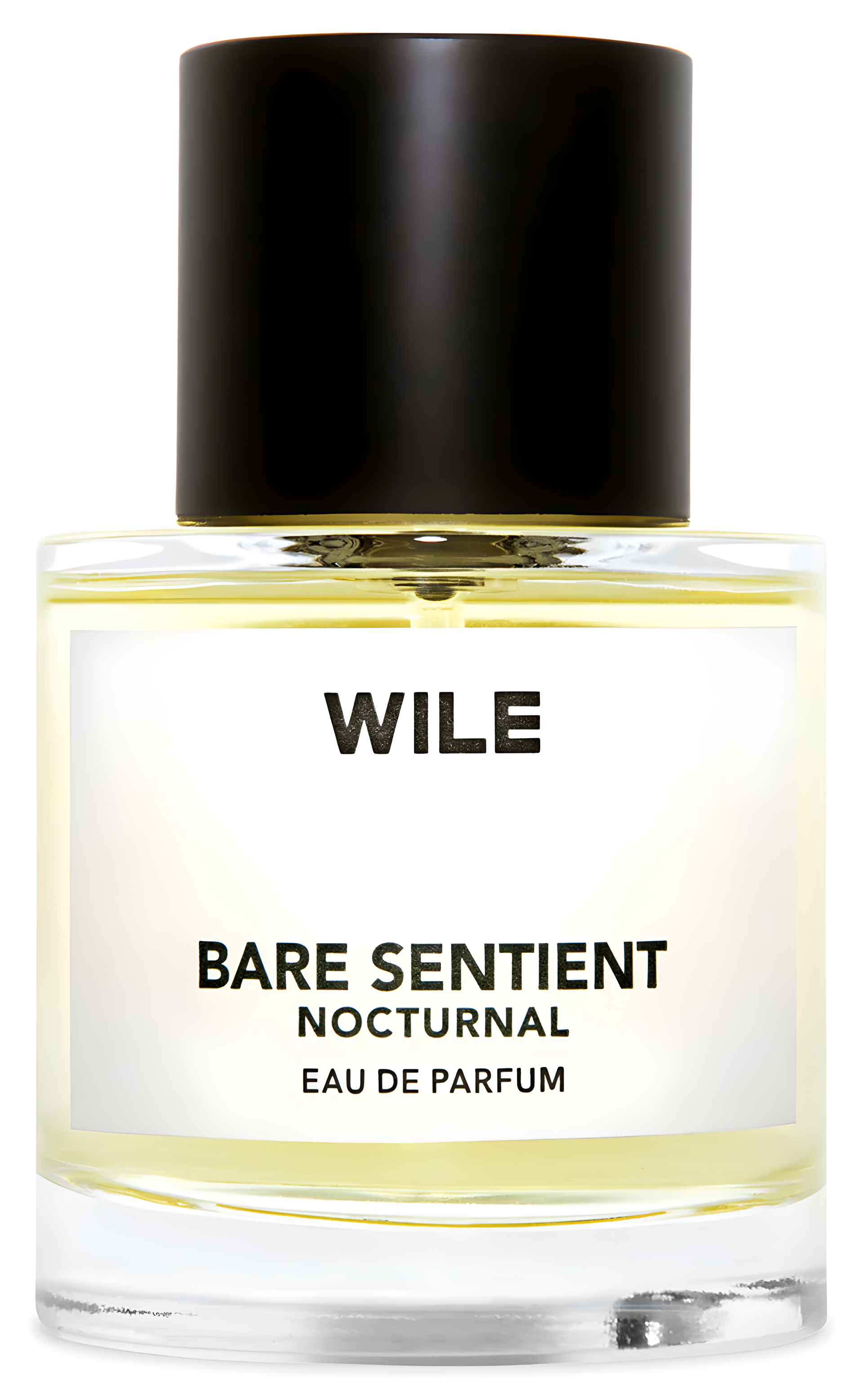 Bare Sentient Nocturnal by WILE perfume bottle