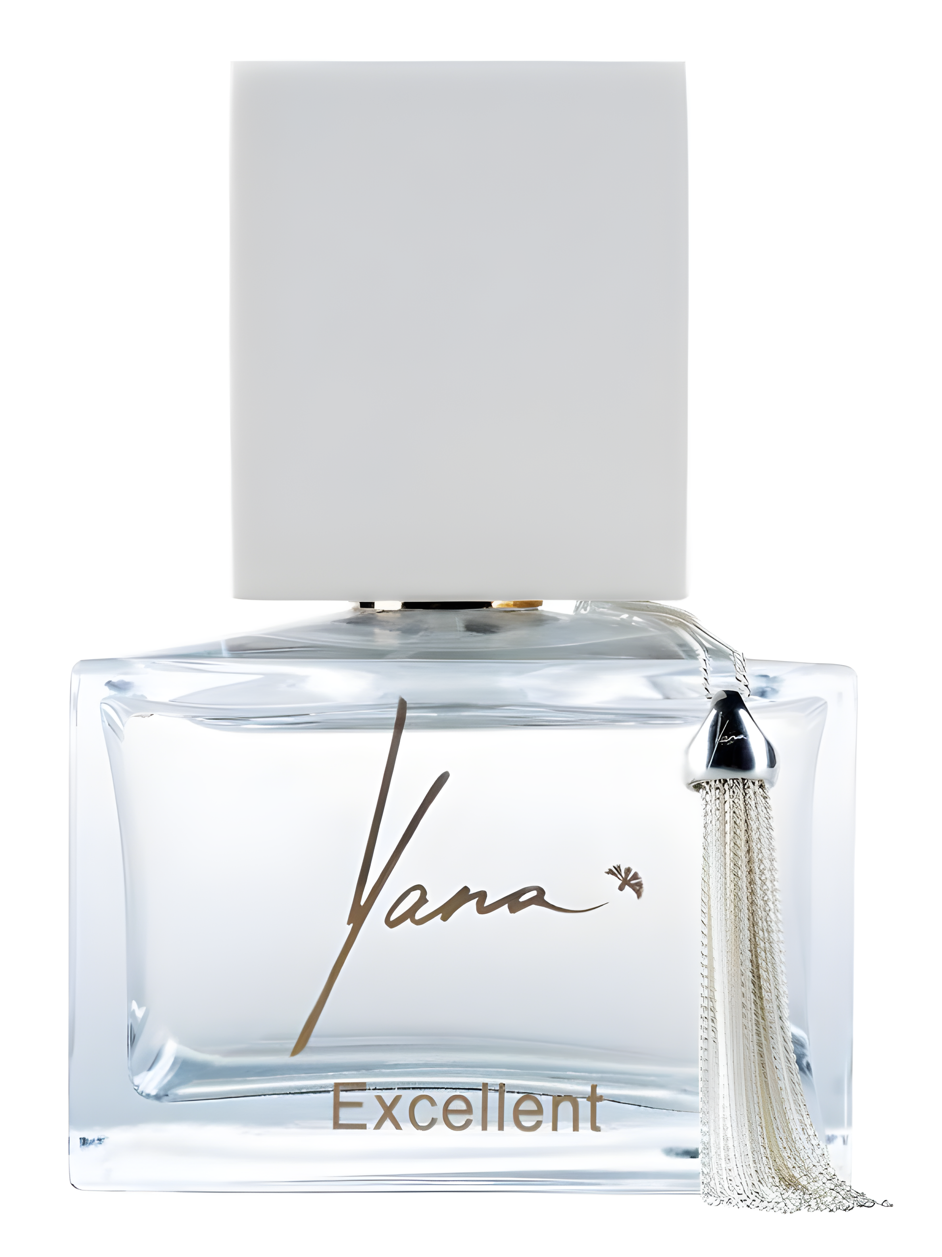 Excellent by Yana perfume bottle