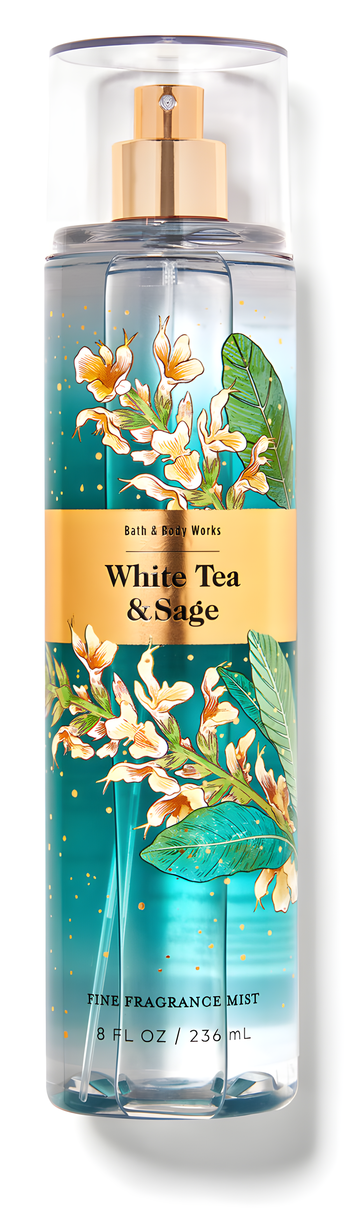 White Tea & Sage by Bath & Body Works perfume bottle