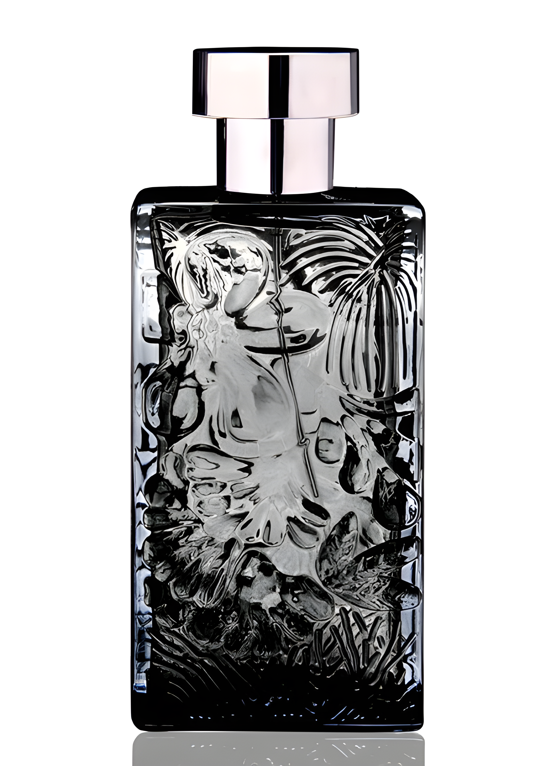 Aboriginal Gardens by Nicolas Danila perfume bottle