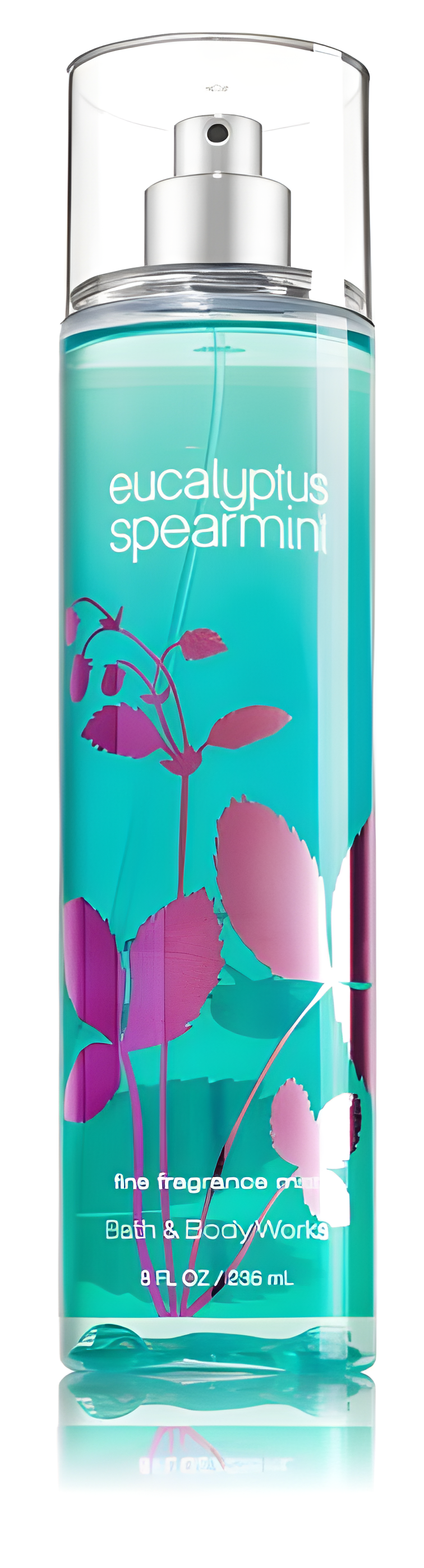 Eucalyptus Spearmint by Bath & Body Works perfume bottle