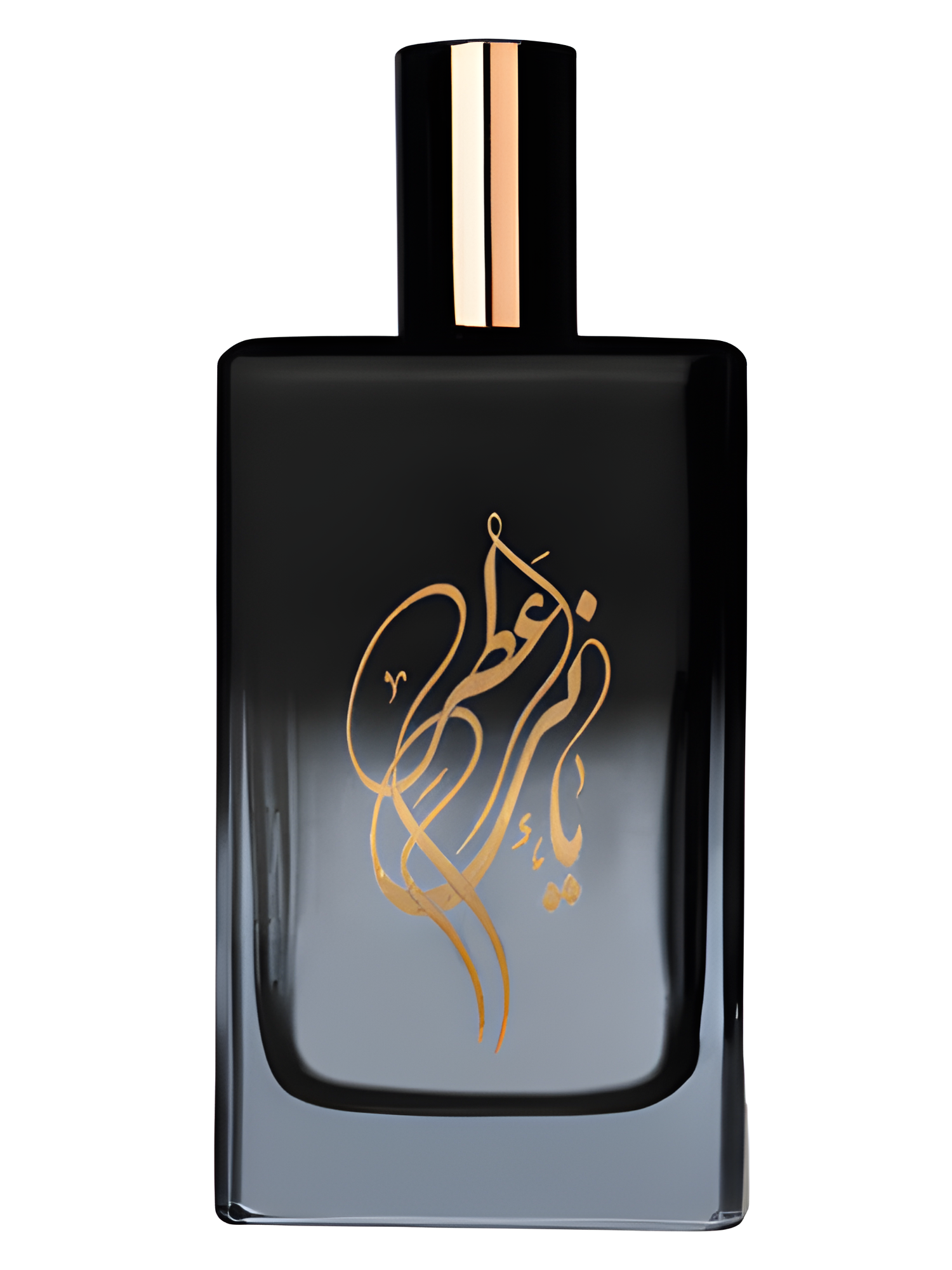 Silver Beach by YANI perfume bottle