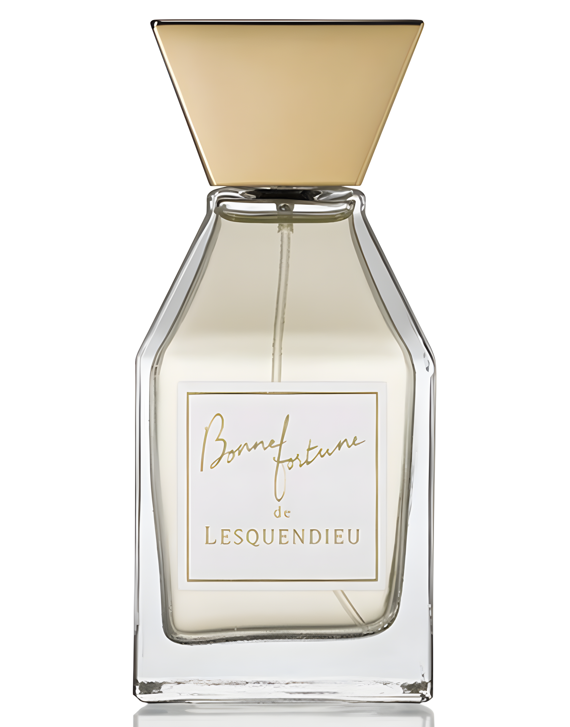 Bonne Fortune by Lesquendieu perfume bottle
