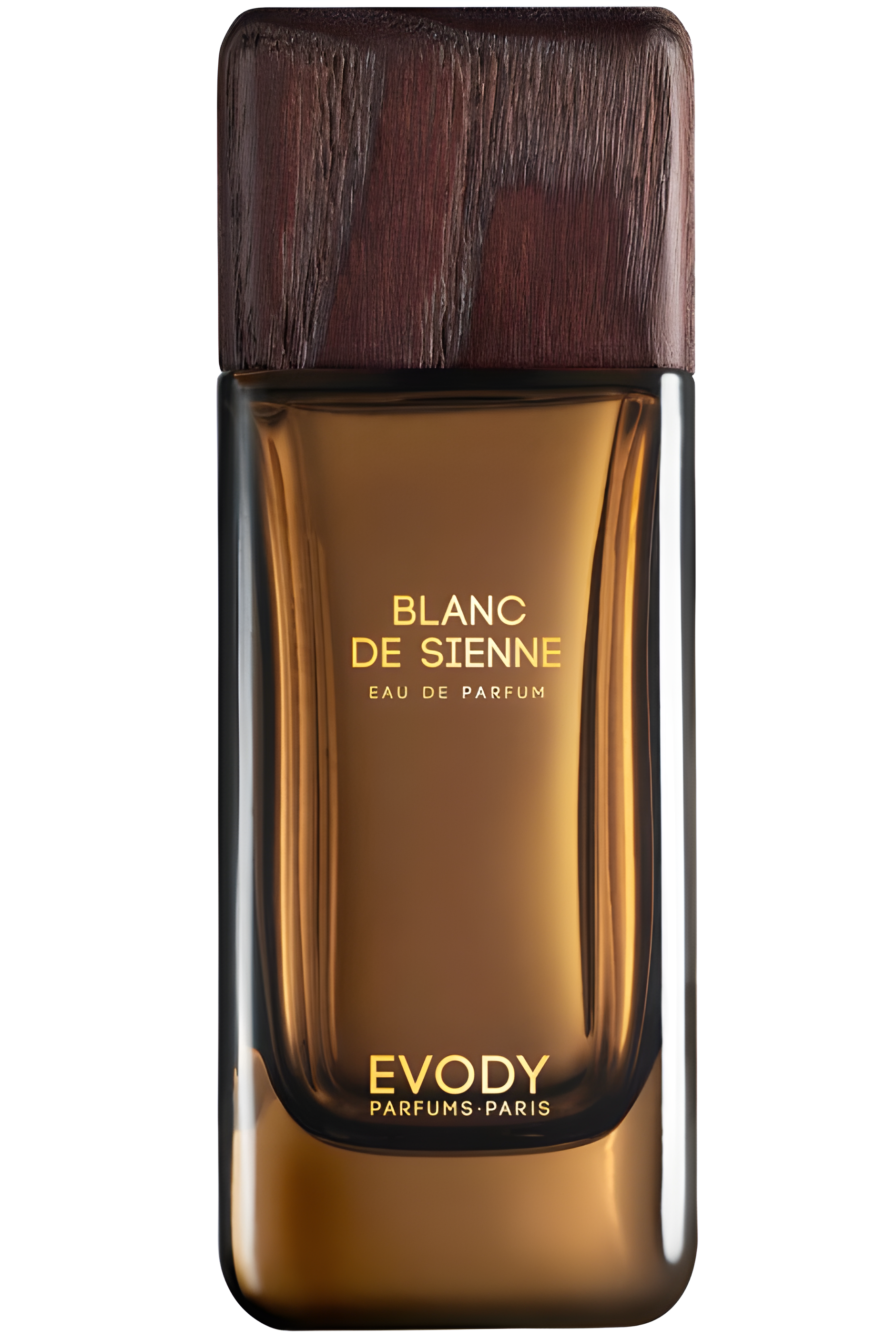 Blanc de Sienne by Evody Parfums perfume bottle