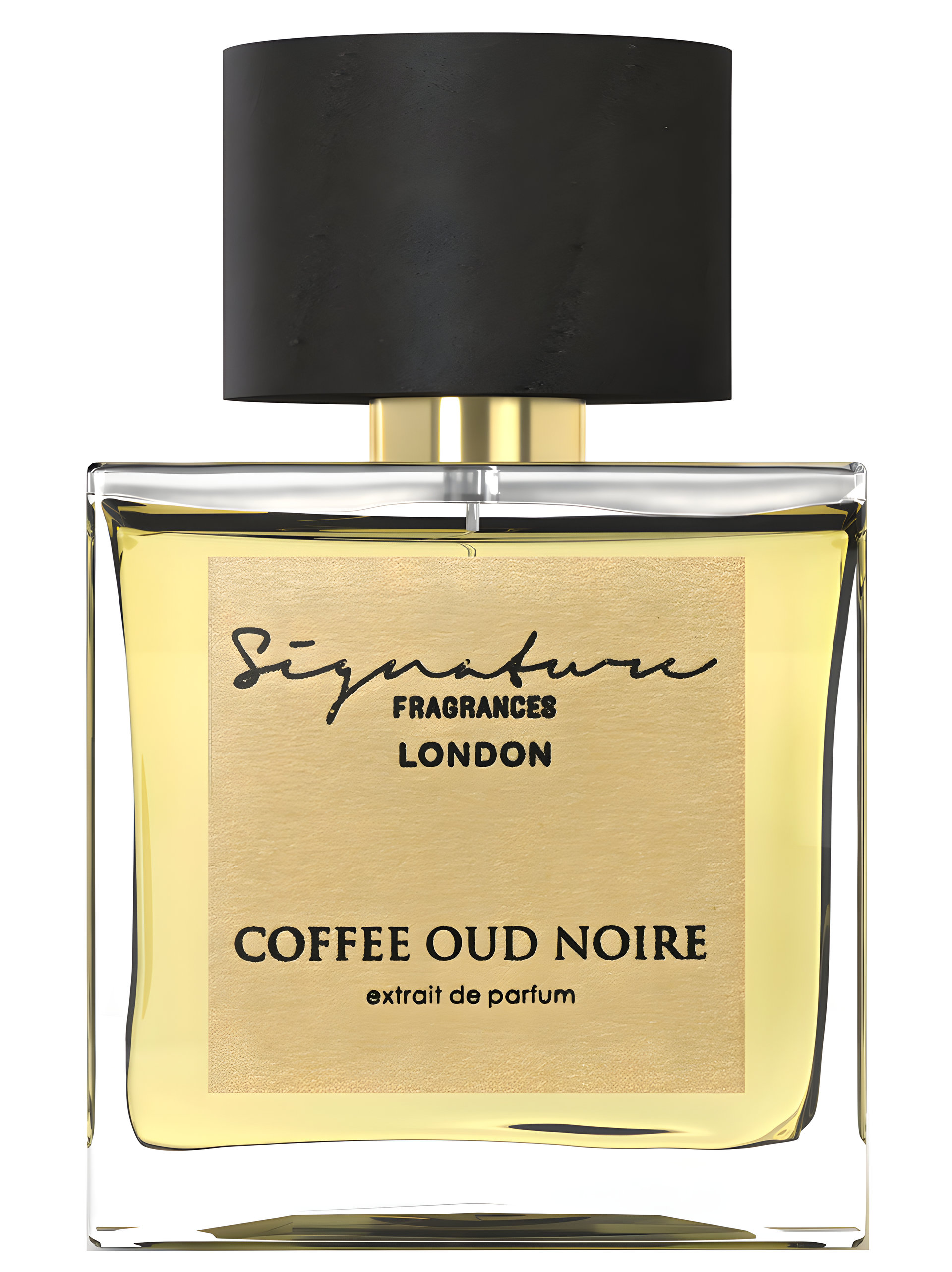 Coffee Oud Noire by Signature Fragrances perfume bottle
