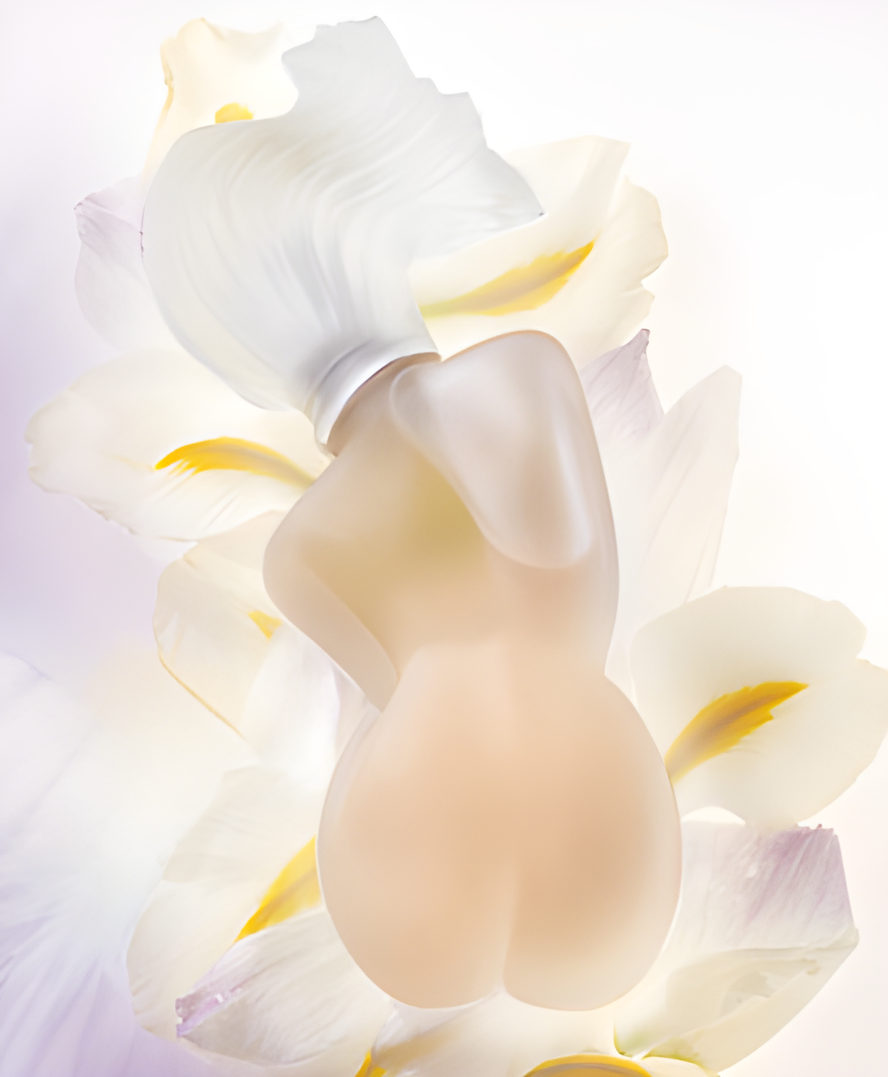 Ame Toscane by ID Parfums perfume bottle