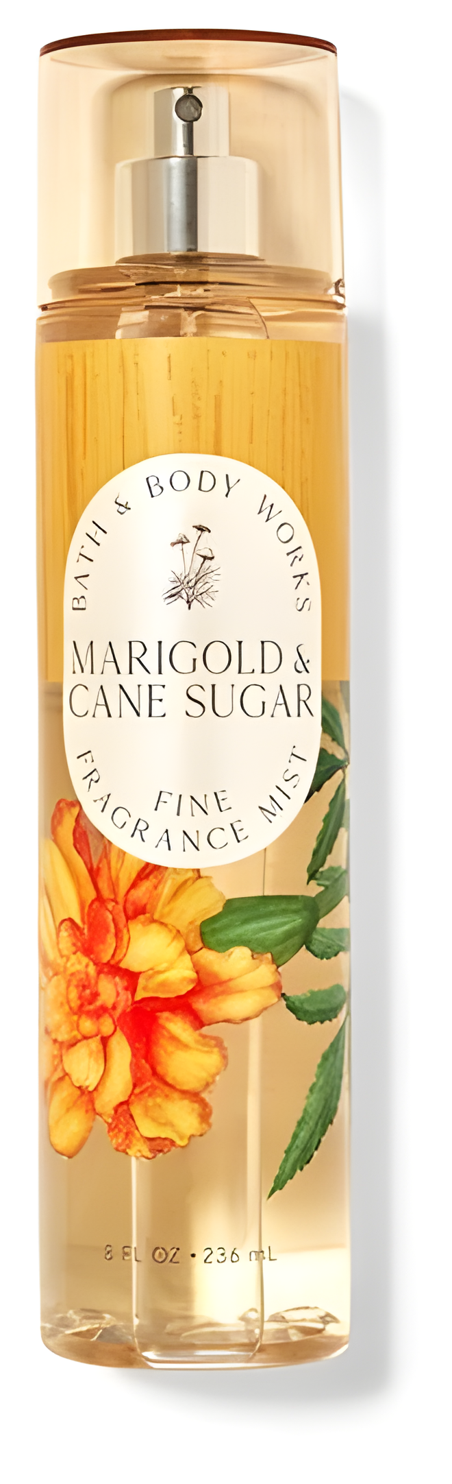 Marigold Cane Sugar by Bath & Body Works perfume bottle