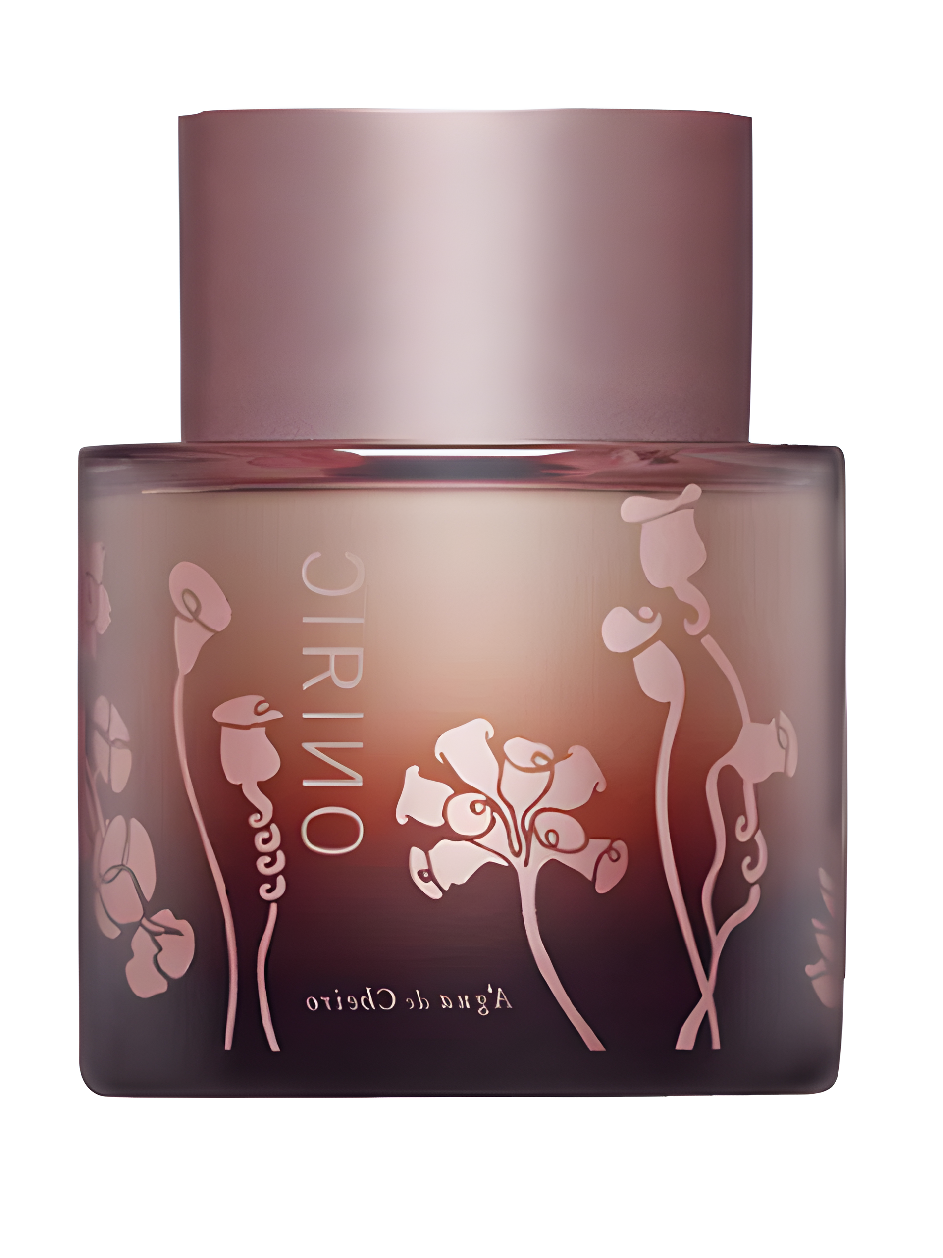 Oniric by Água de Cheiro perfume bottle