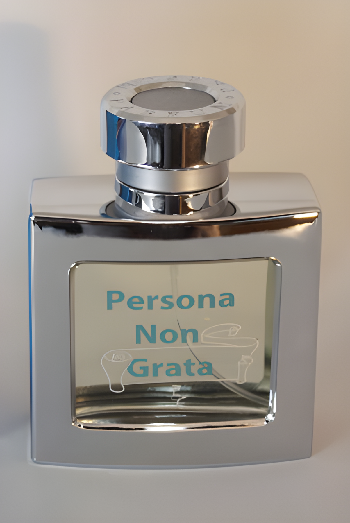 Persona Non Grata by Eclectic Collections perfume bottle