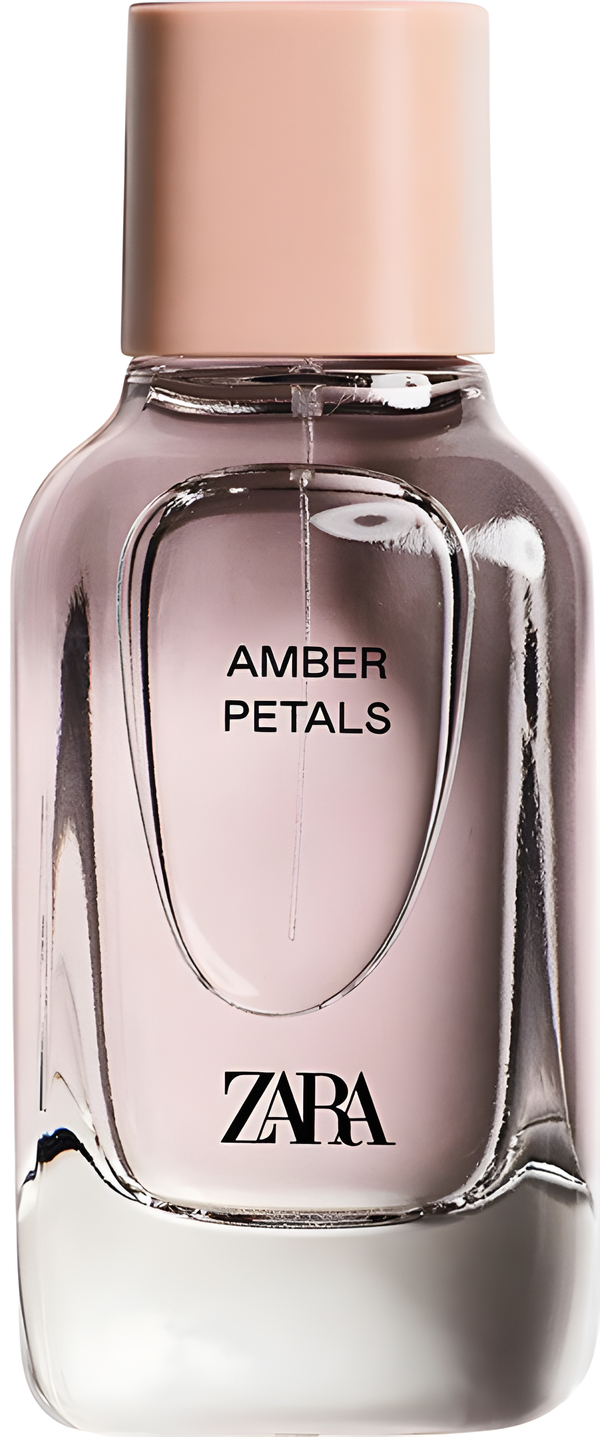 Amber Petals by Zara perfume bottle