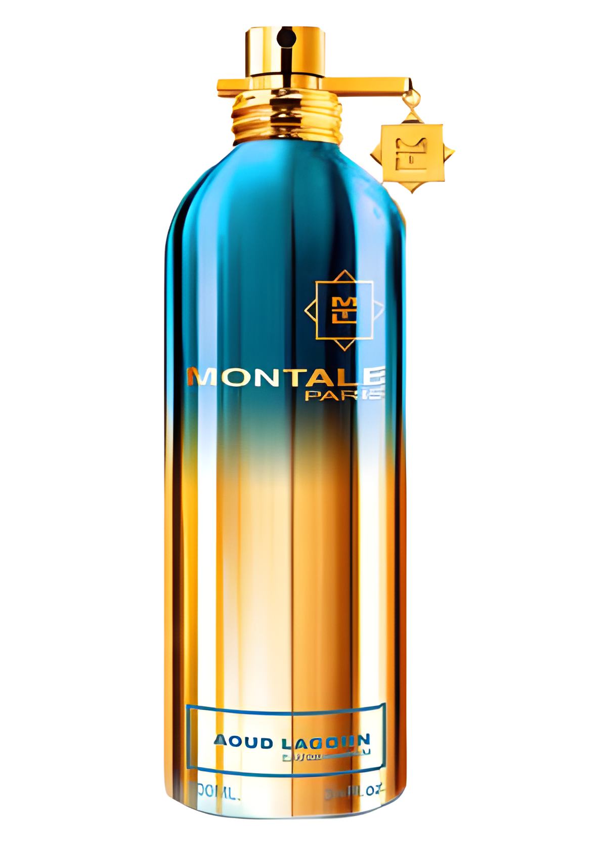 Aoud Lagoon by Montale perfume bottle