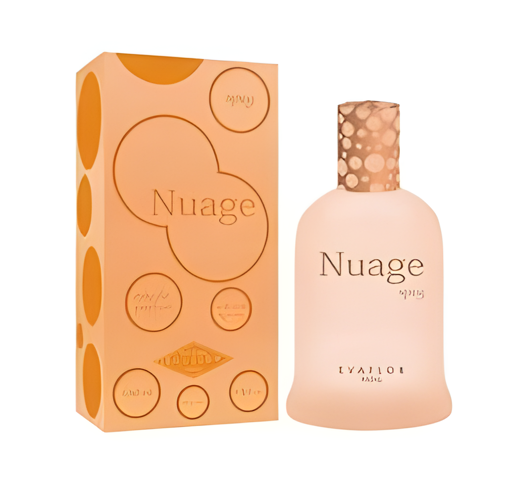 Nuage Spicy by Evaflor perfume bottle