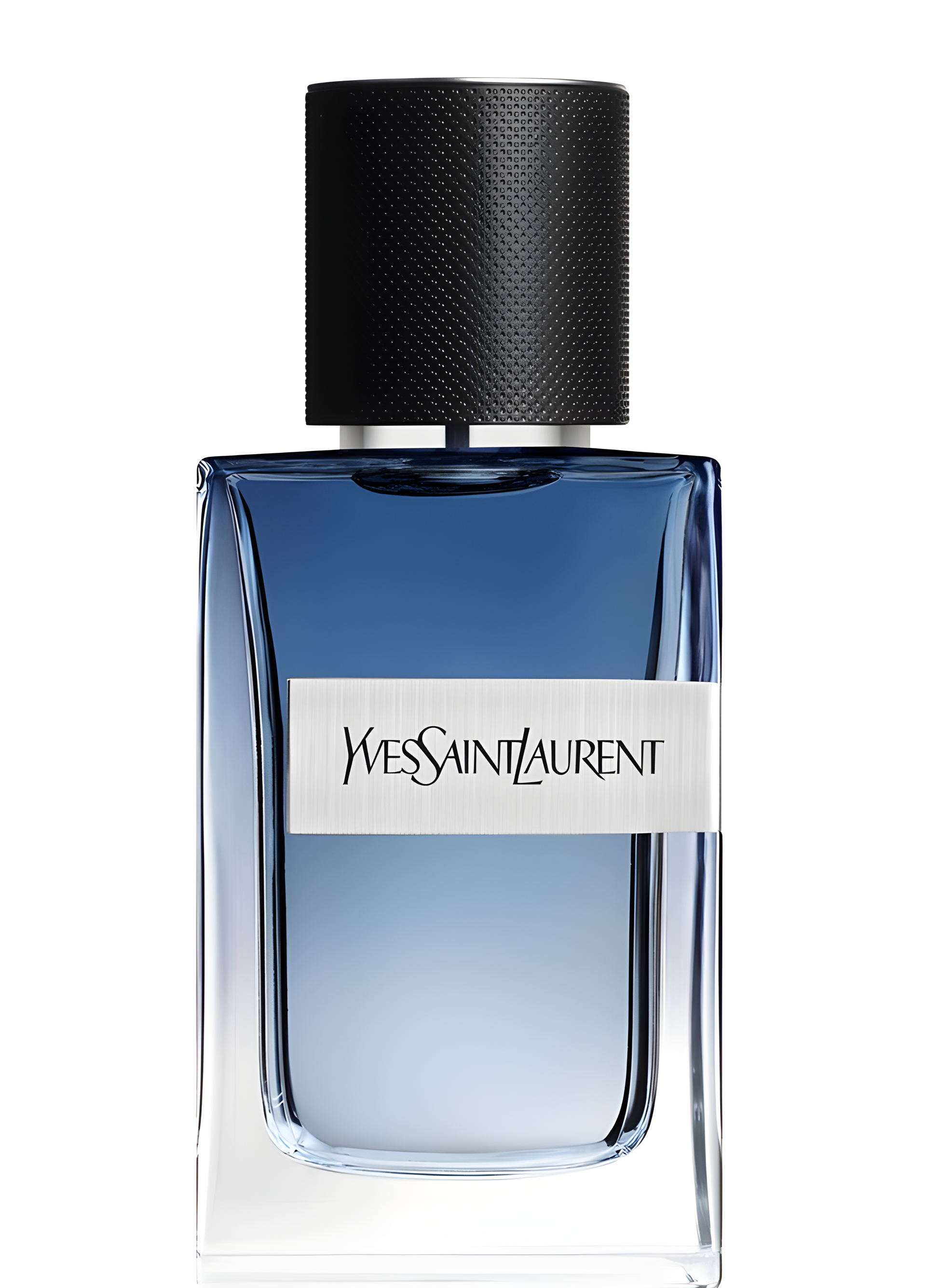 Y Live by Yves Saint Laurent perfume bottle