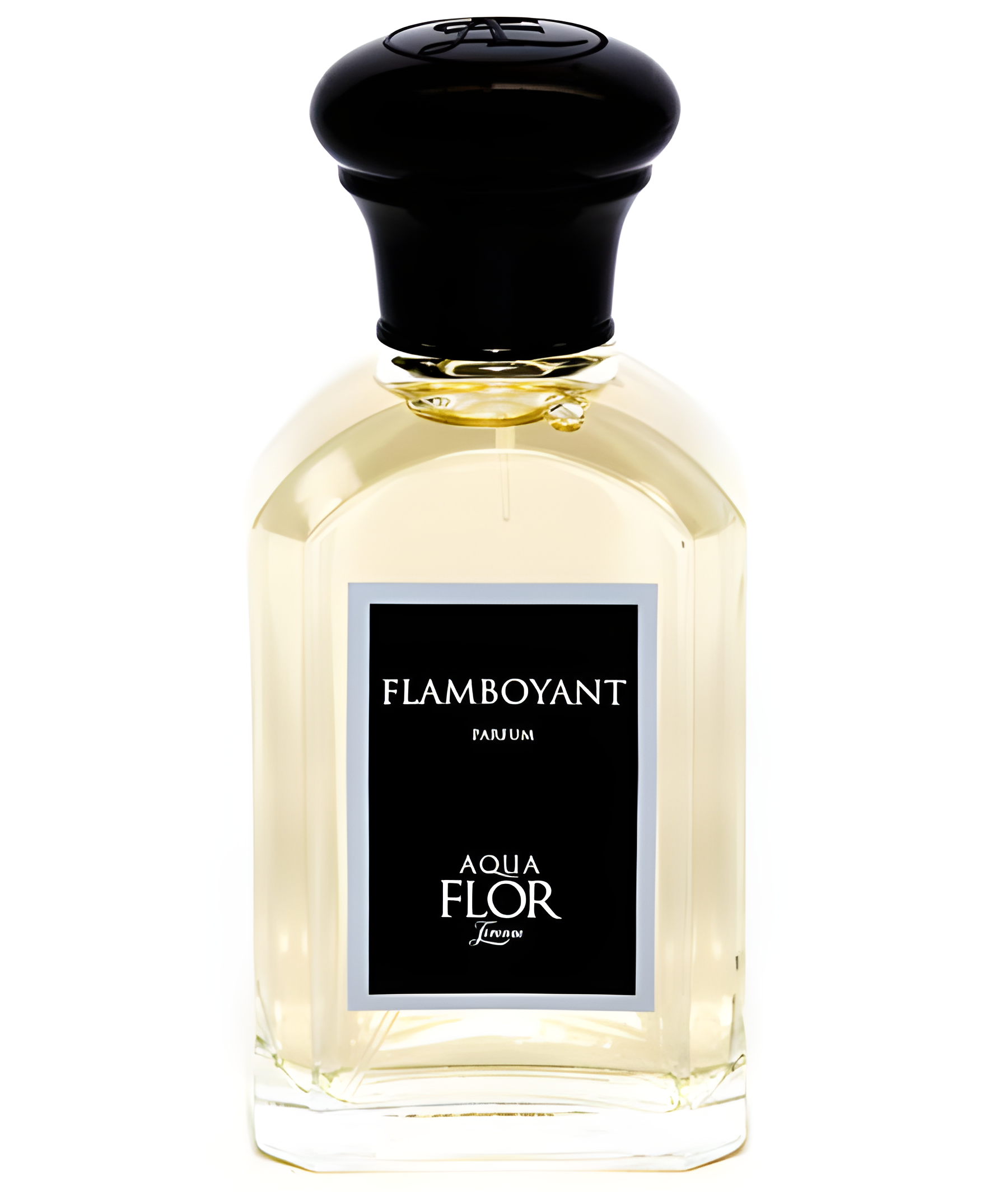 Flamboyant by Aquaflor Firenze perfume bottle