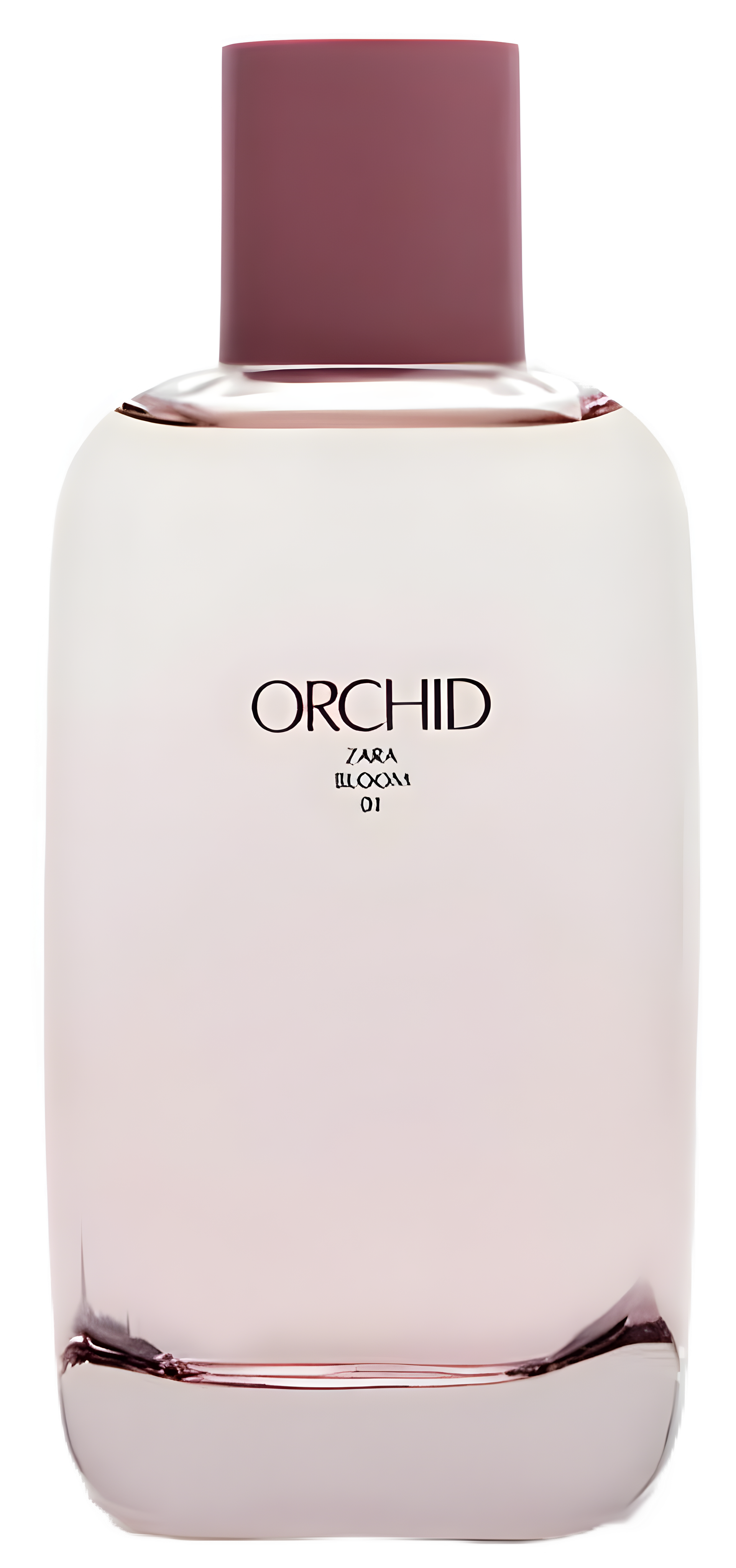 Orchid Bloom 01 by Zara perfume bottle