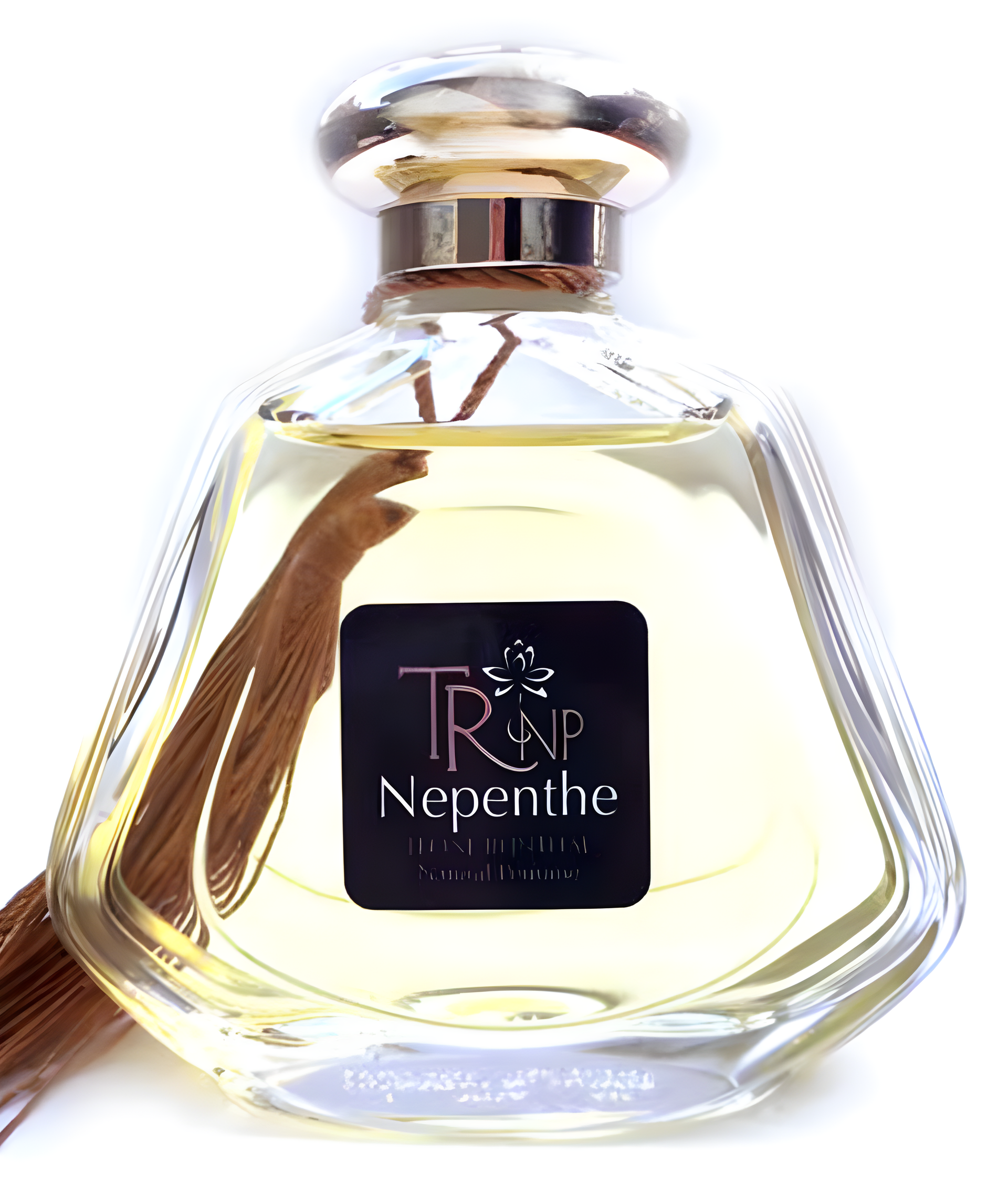 Nepenthe by TRNP perfume bottle