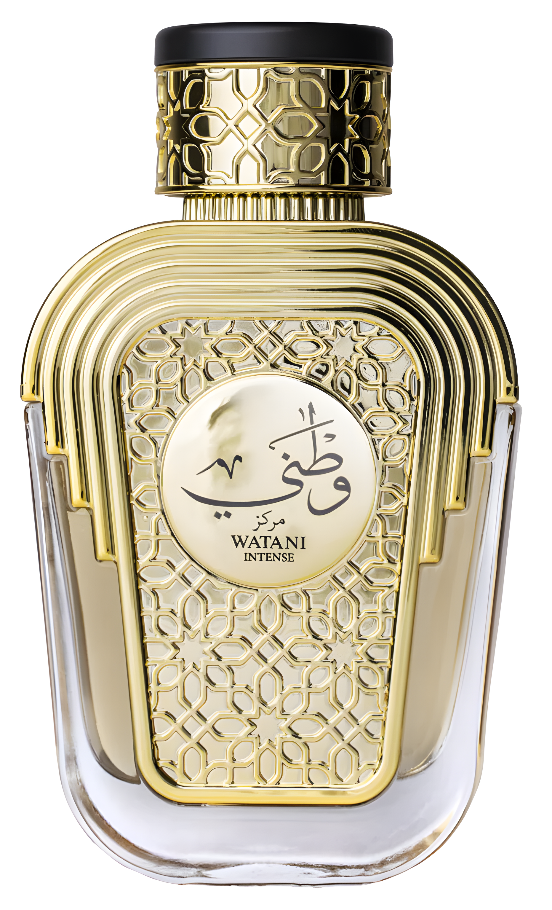 Watani Intense by Al Wataniah perfume bottle