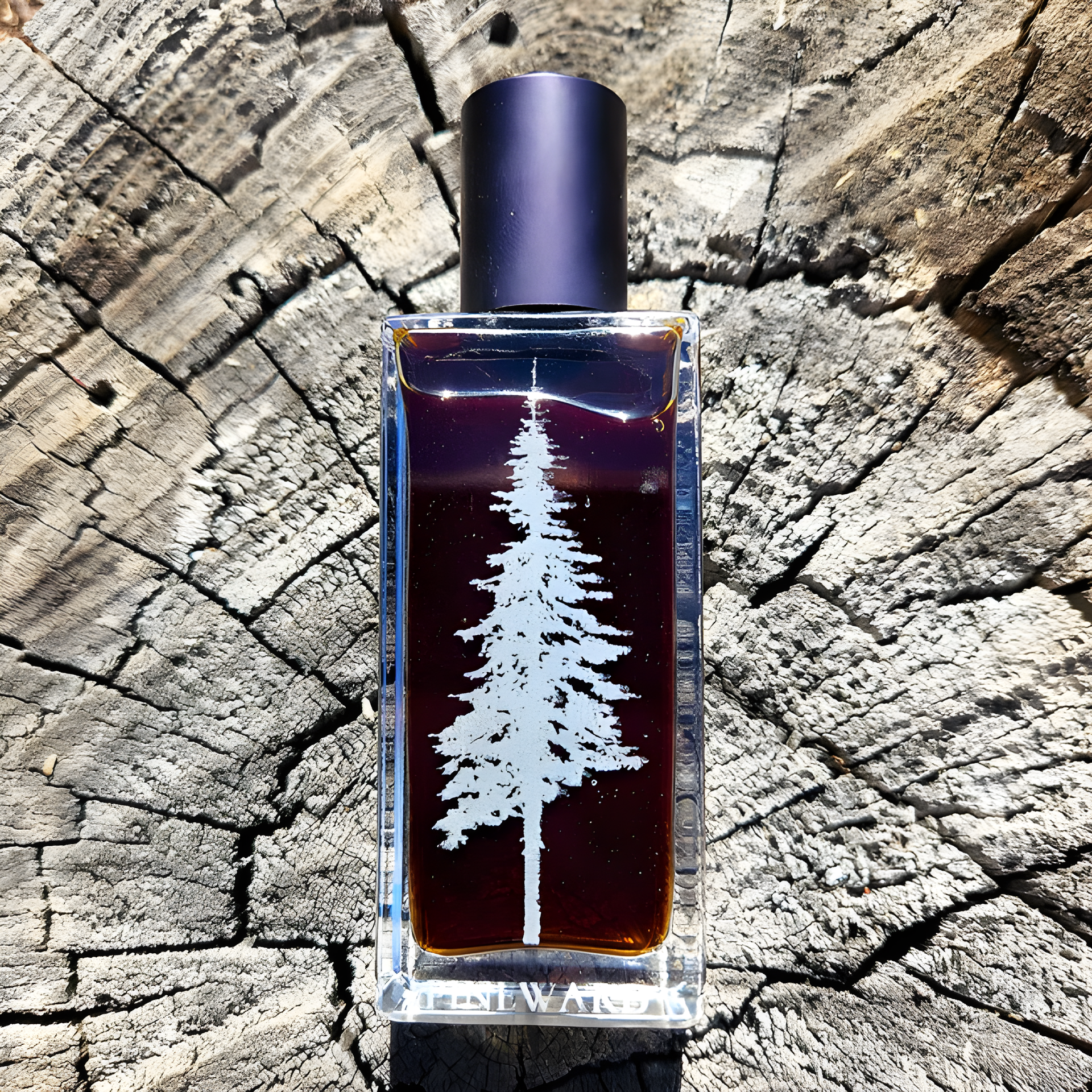 Nocturnis by Pineward Perfumes perfume bottle