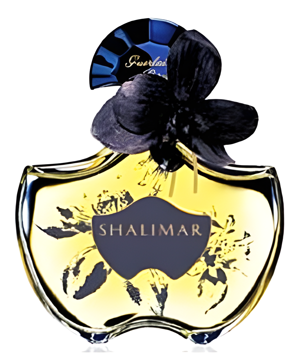 Shalimar Eau de Parfum (2009 Limited Editions) by Guerlain perfume bottle