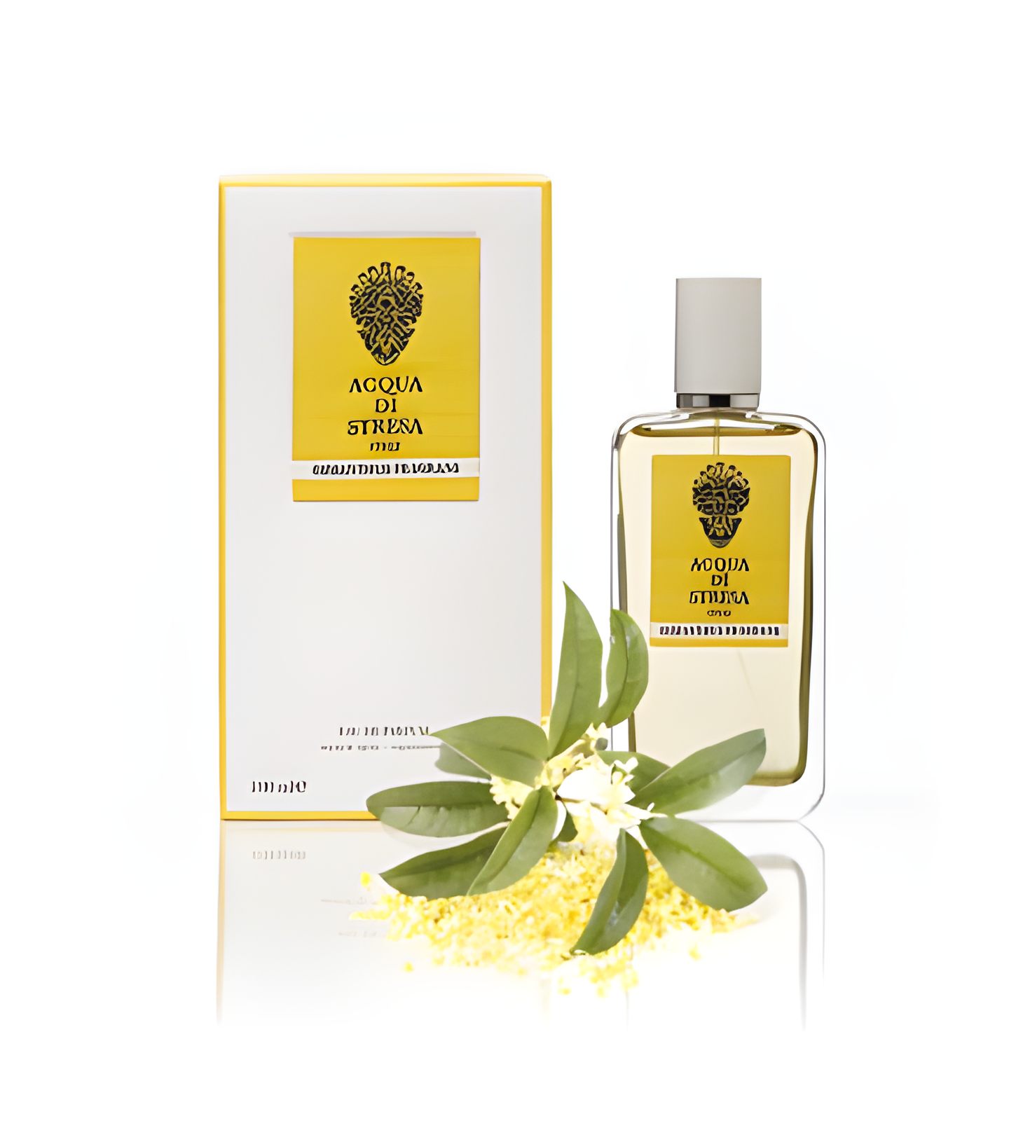 Osmanthus Fragrans by Acqua di Stresa perfume bottle