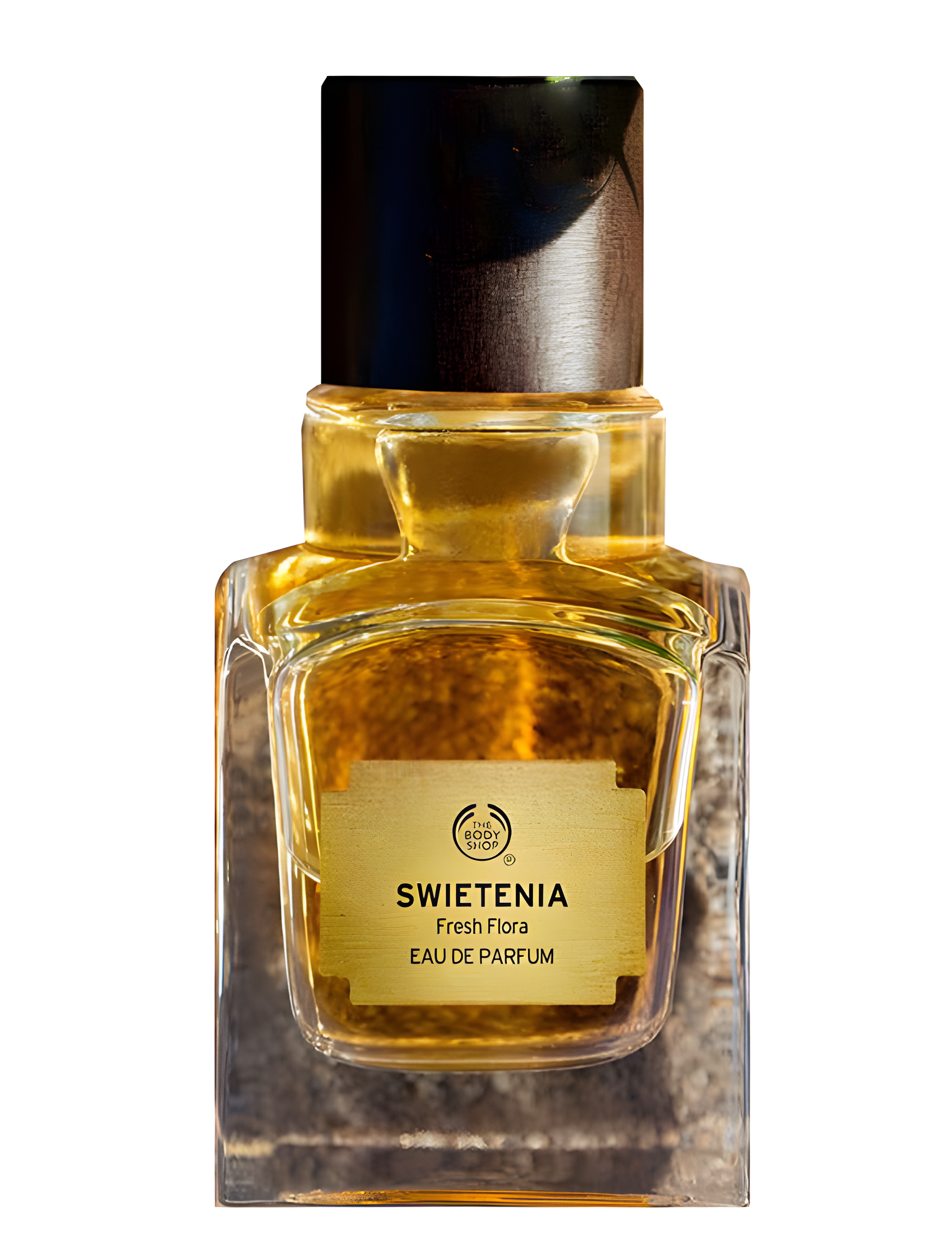 Swietenia by The Body Shop perfume bottle