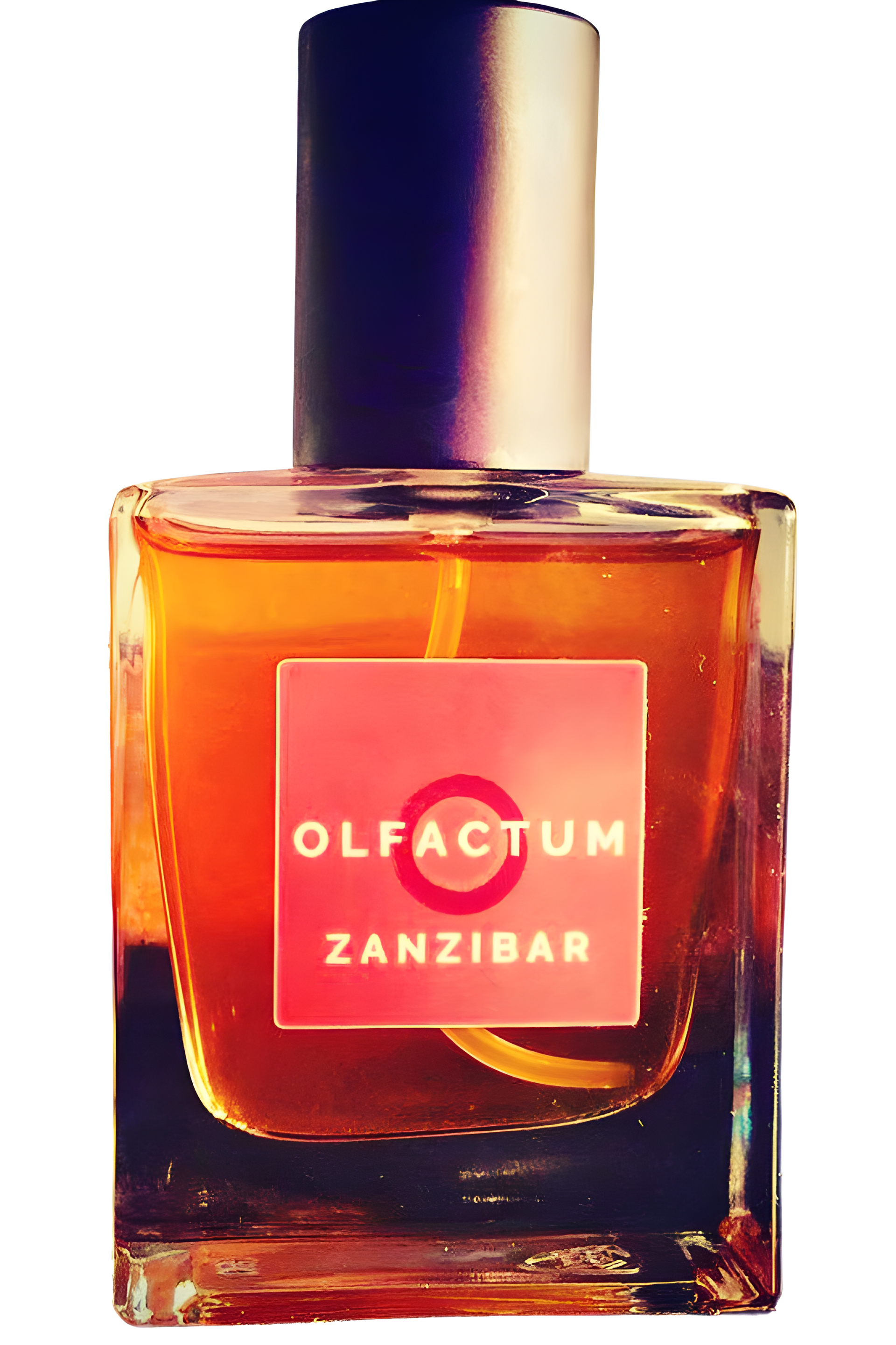 Zanzibar by Olfactum perfume bottle