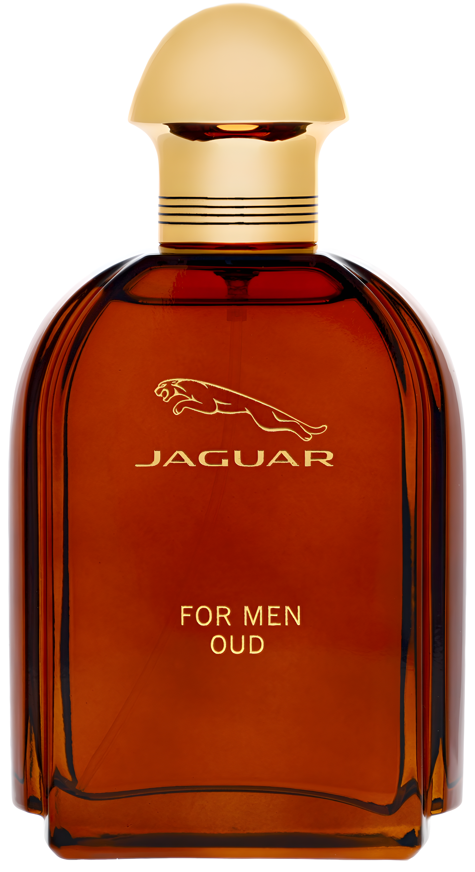 Jaguar for Men Oud by Jaguar perfume bottle