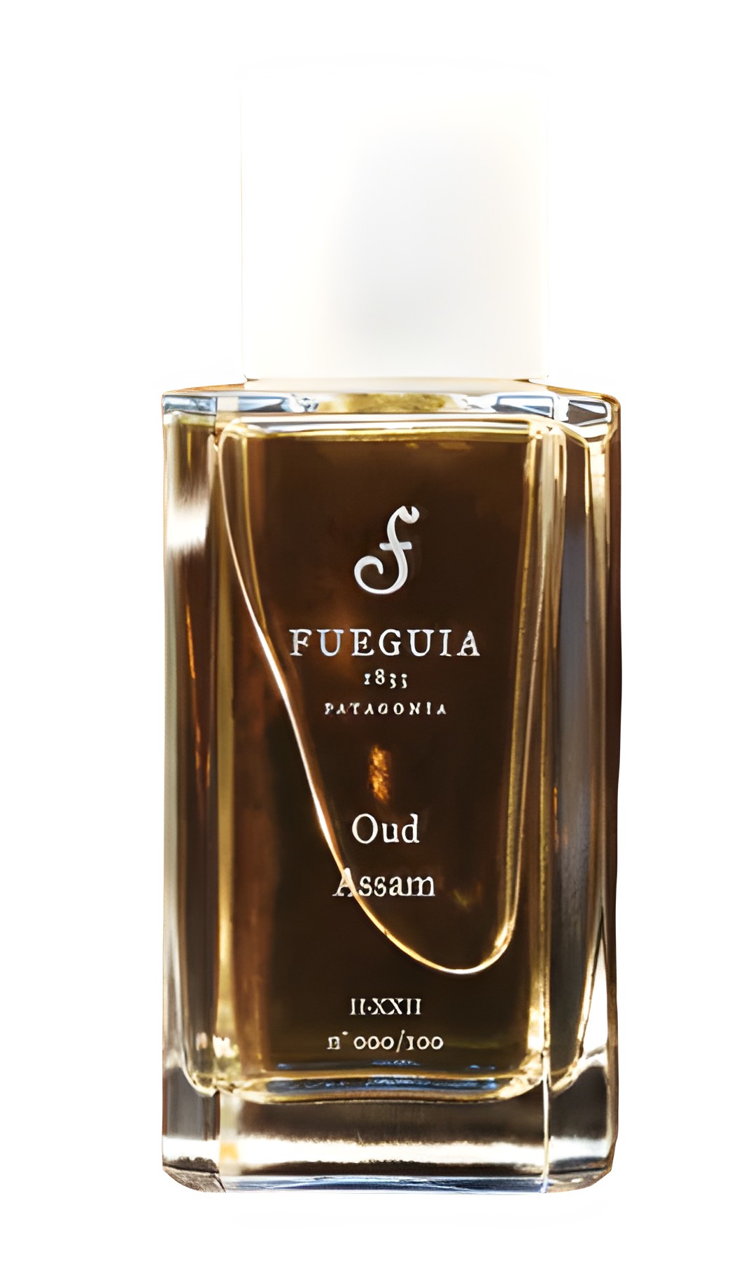 Oud Assam by Fueguia 1833 perfume bottle