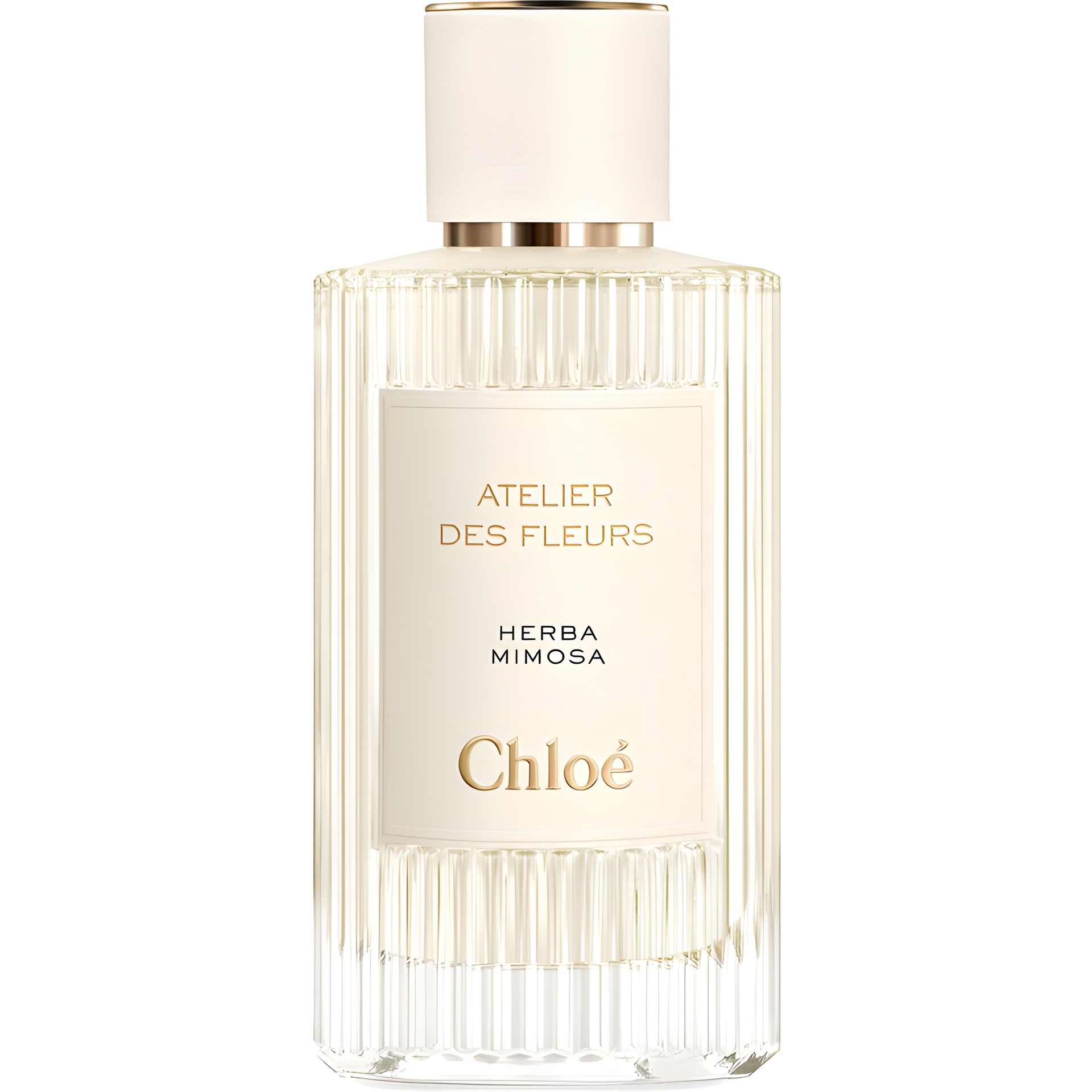 Herba Mimosa by Chloé perfume bottle