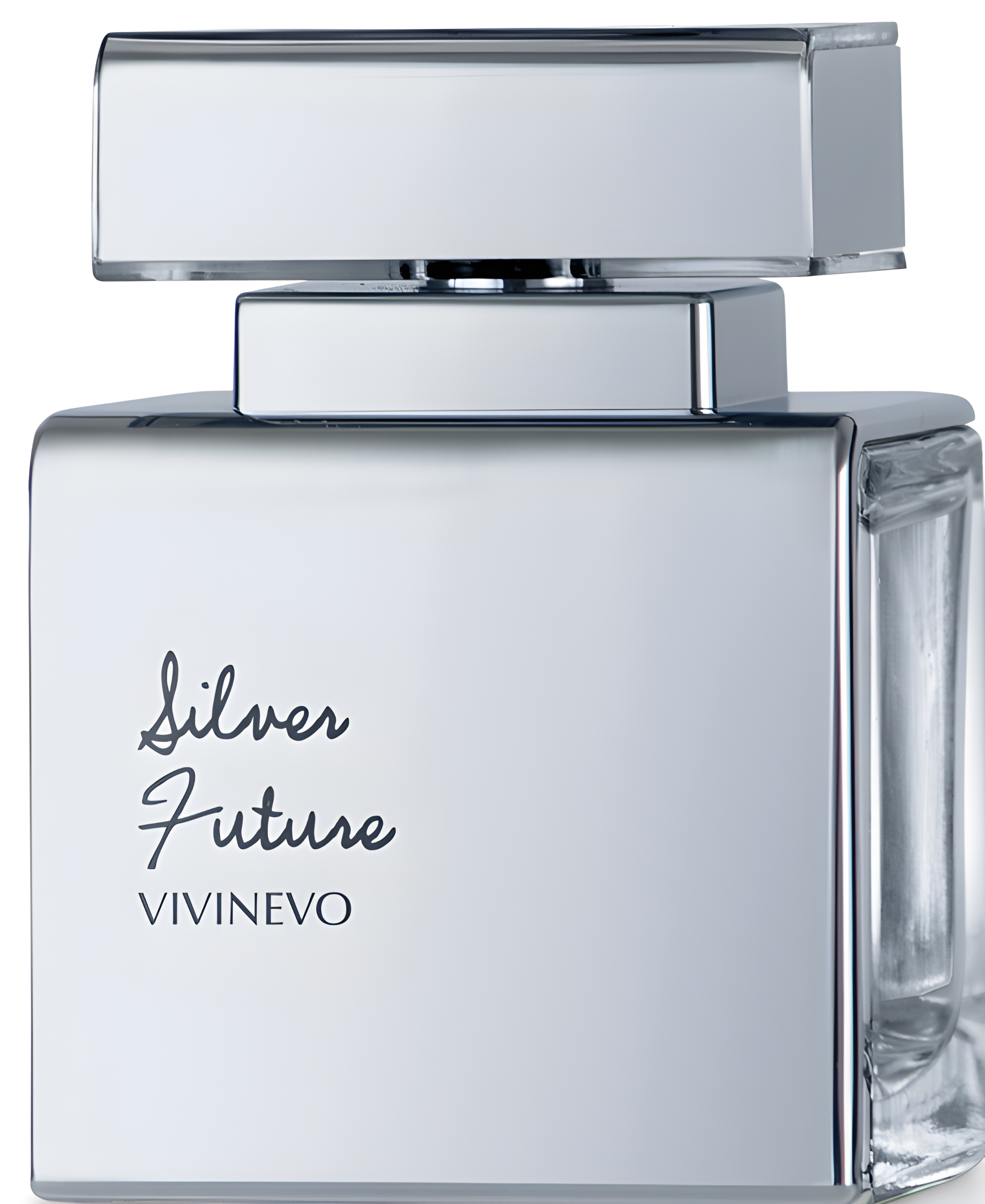 Silver Future by Vivinevo perfume bottle