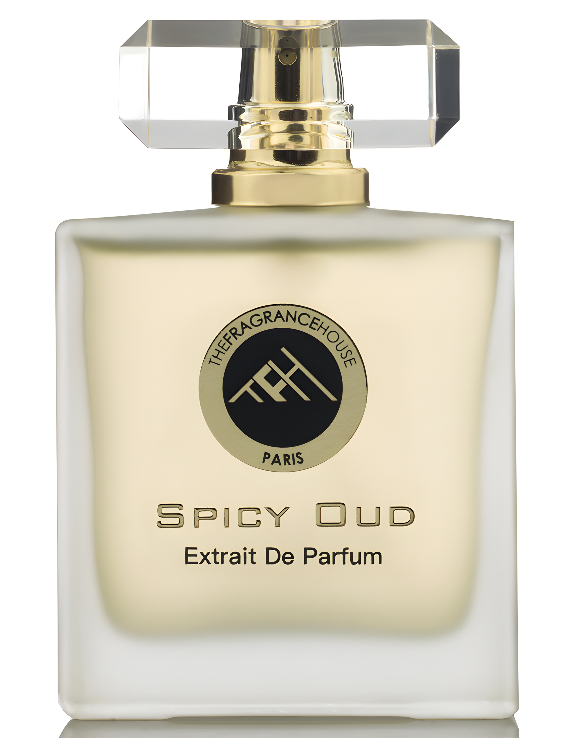 Spicy Oud by The Fragrance House perfume bottle
