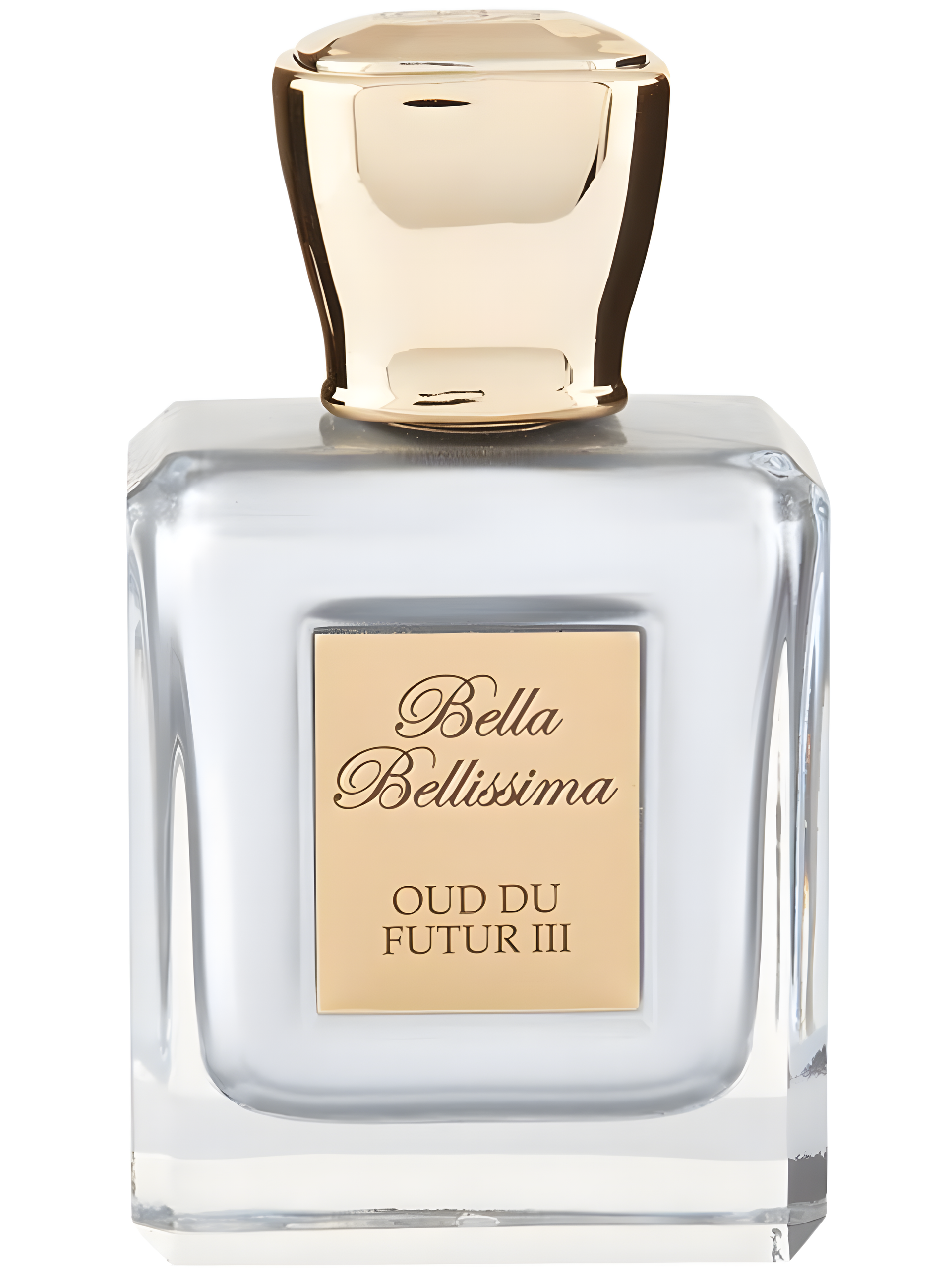 Oud Du Futur III by Bella Bellissima perfume bottle